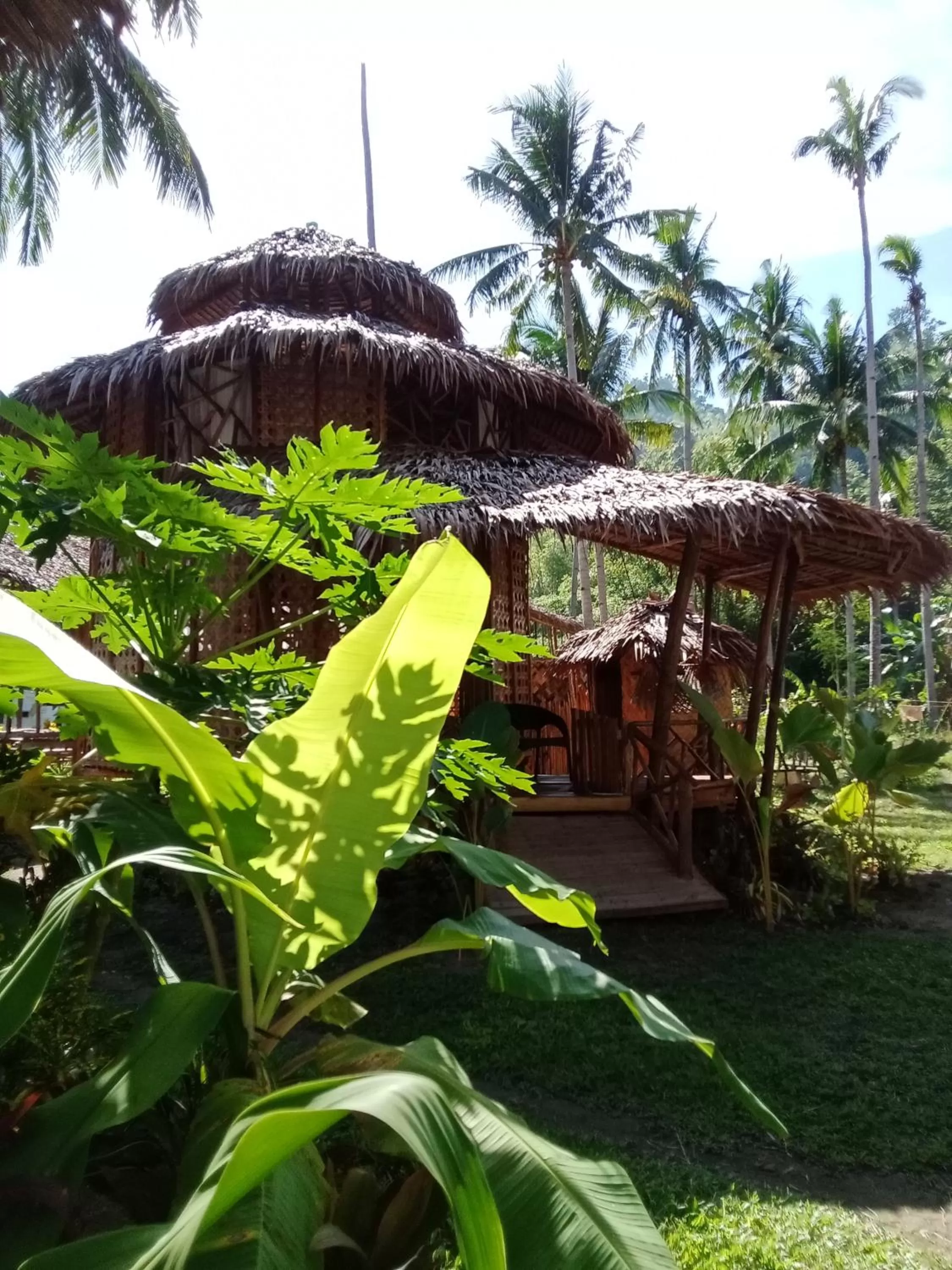 Garden in Prince John beachfront cottages and Restaurant