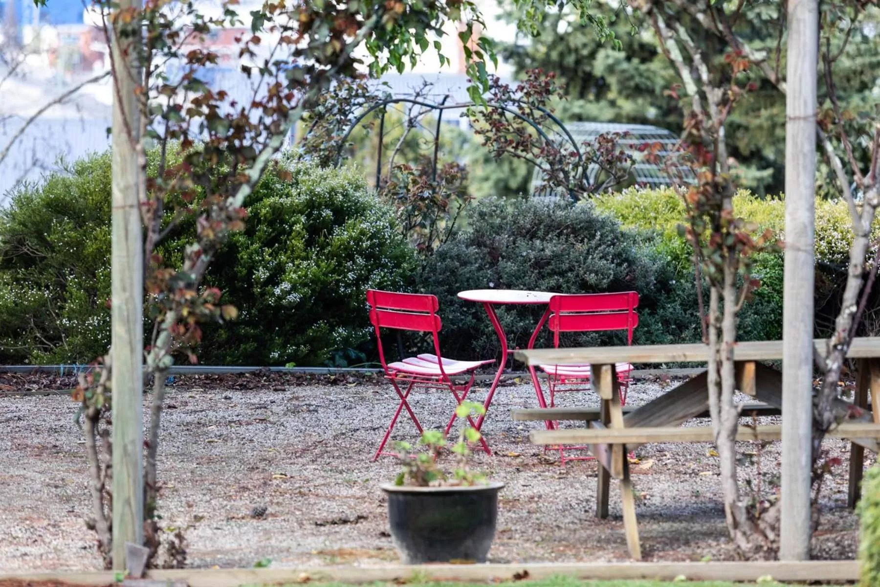Garden in The Dragonfly Inn