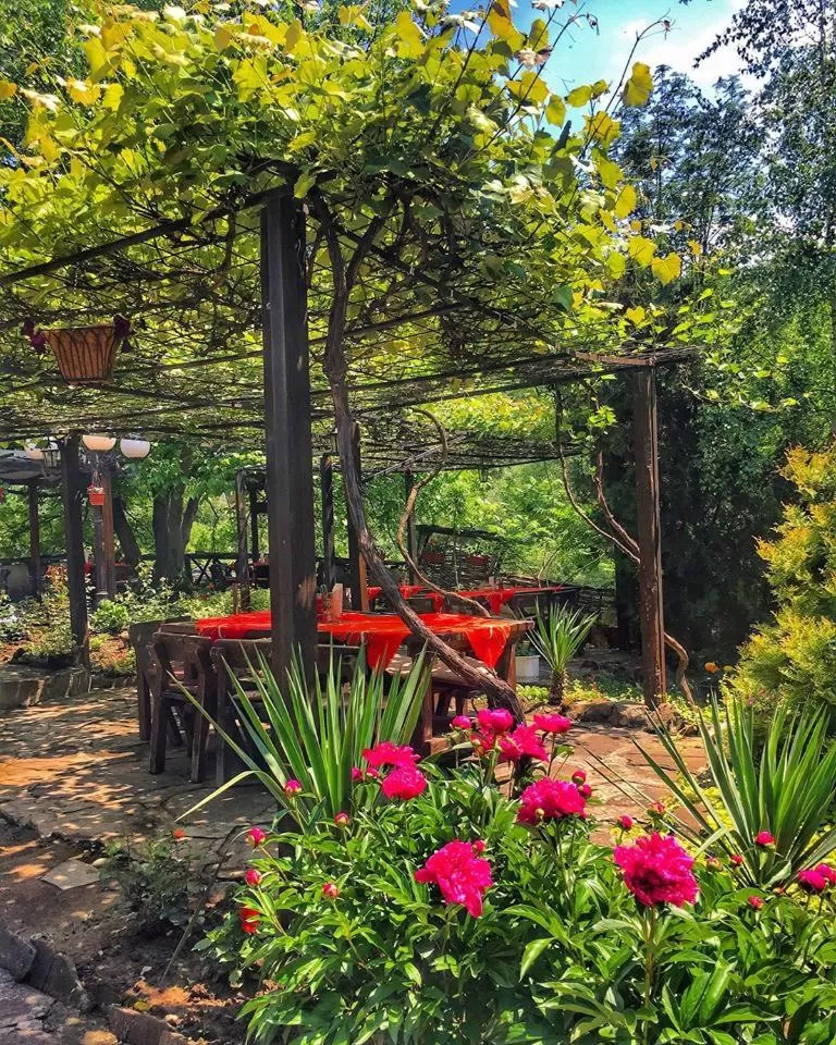 Garden view, Garden in Troyan Plaza Hotel