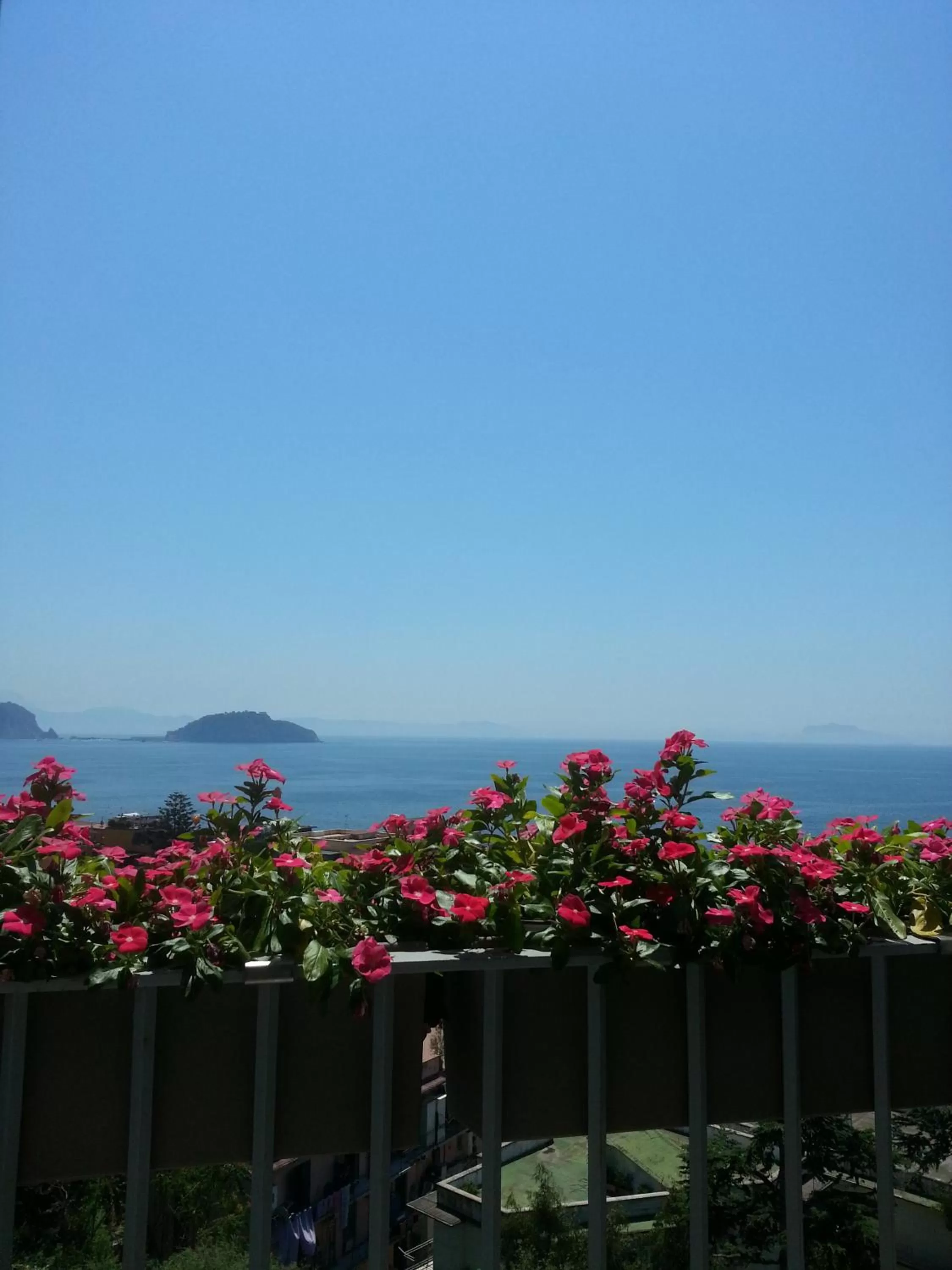 View (from property/room) in Villa Avellino Historic Residence