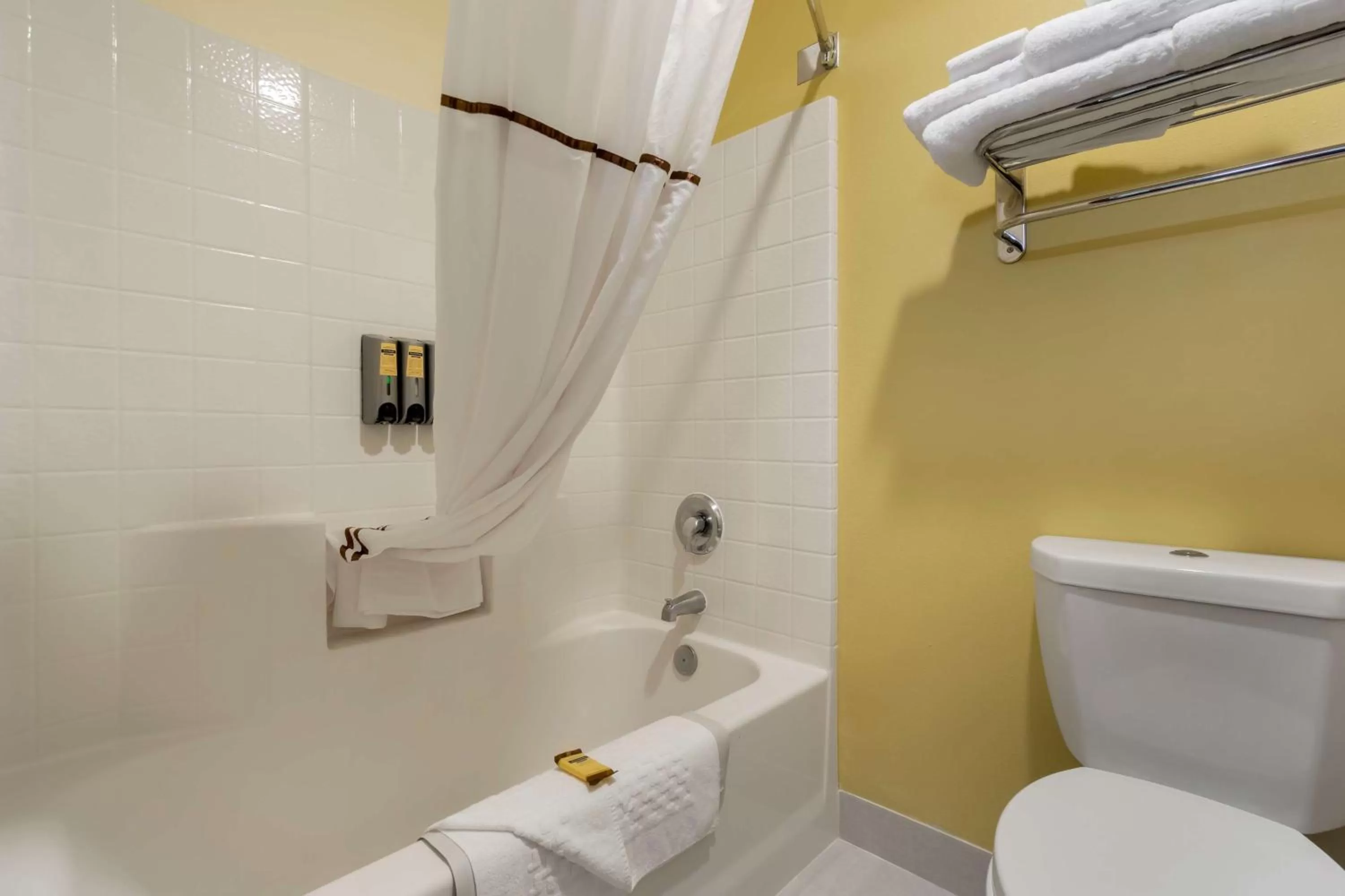 Bathroom in Best Western Plus Park Place Inn & Suites