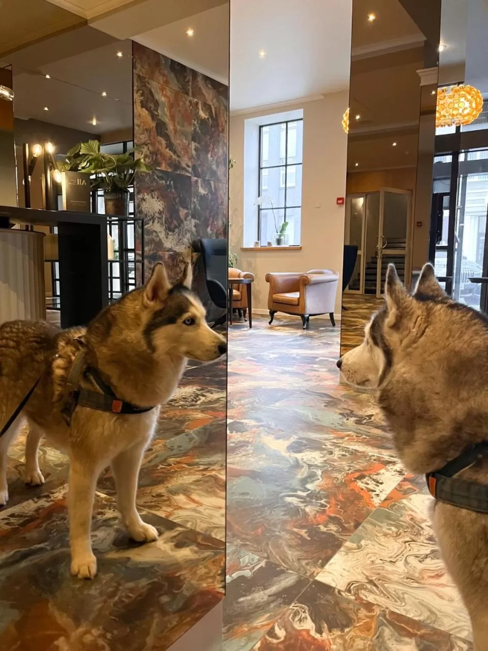 Lobby or reception in MERCURE KLAIPEDA CITY HOTEL, Meetings, Events, Restaurant & Bar - Accor Group, Pet Stay FREE