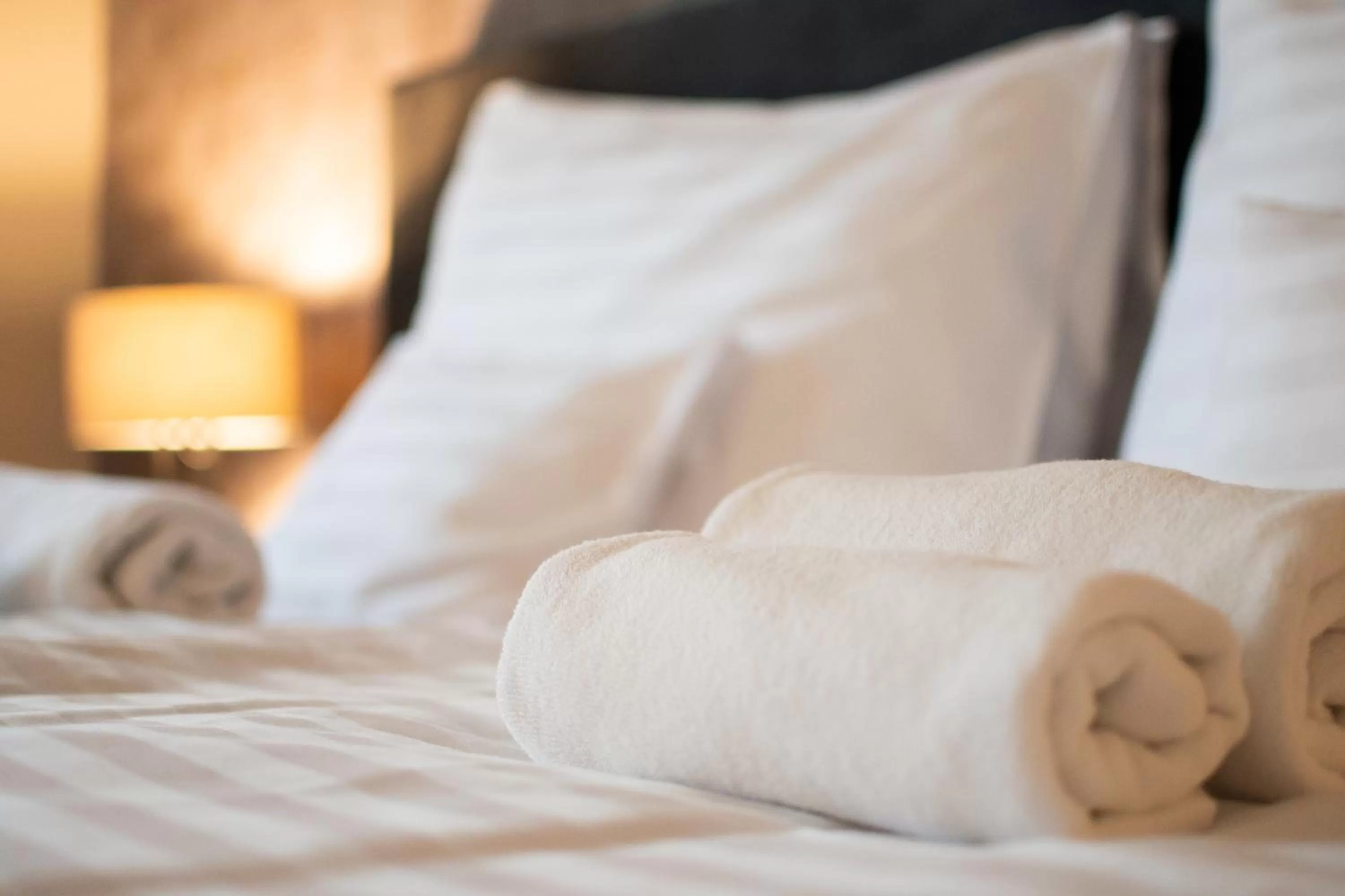 Bed in Botrytis Borhotel