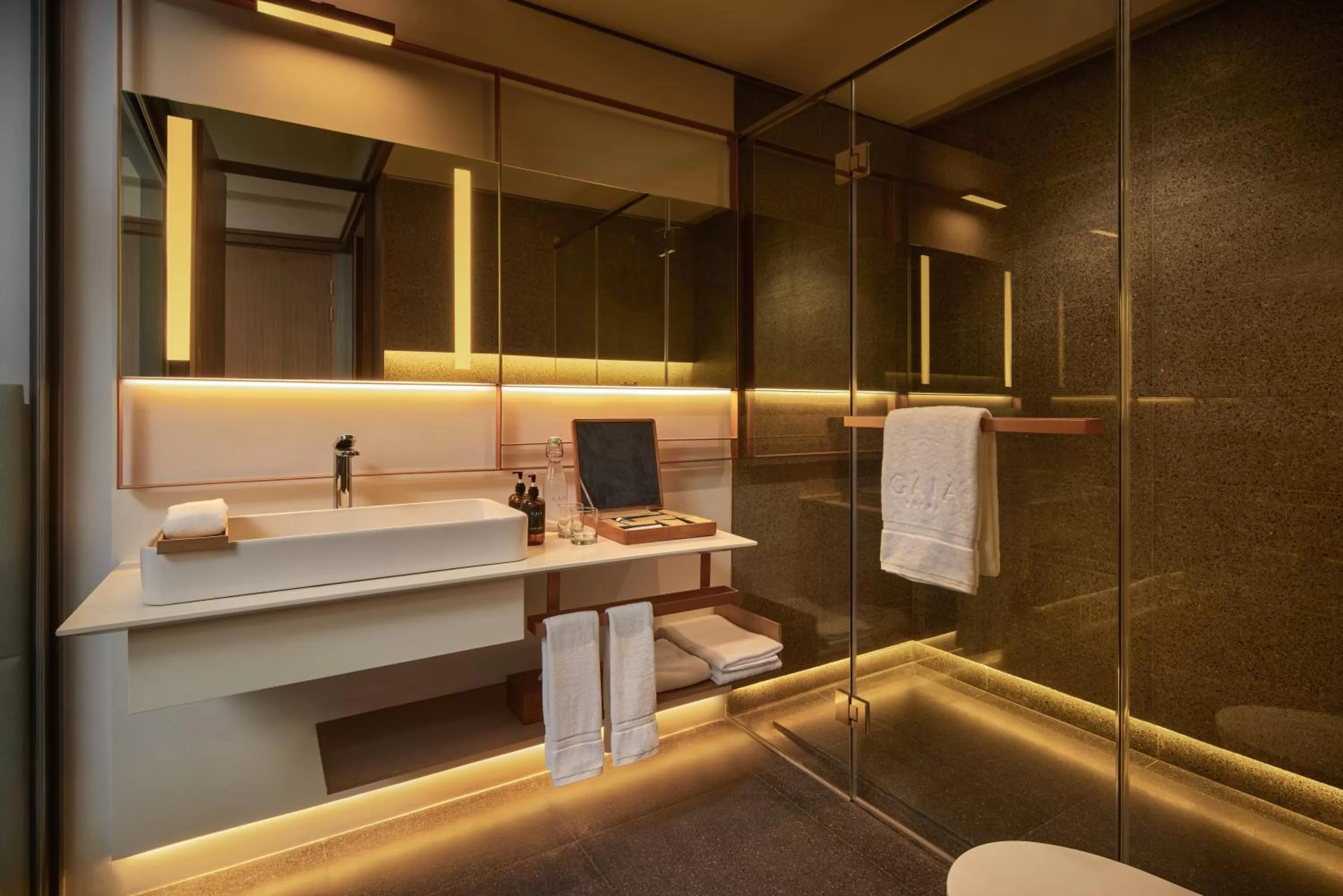 Deluxe Twin Mountain View with Balcony in The Gaia Hotel Bandung