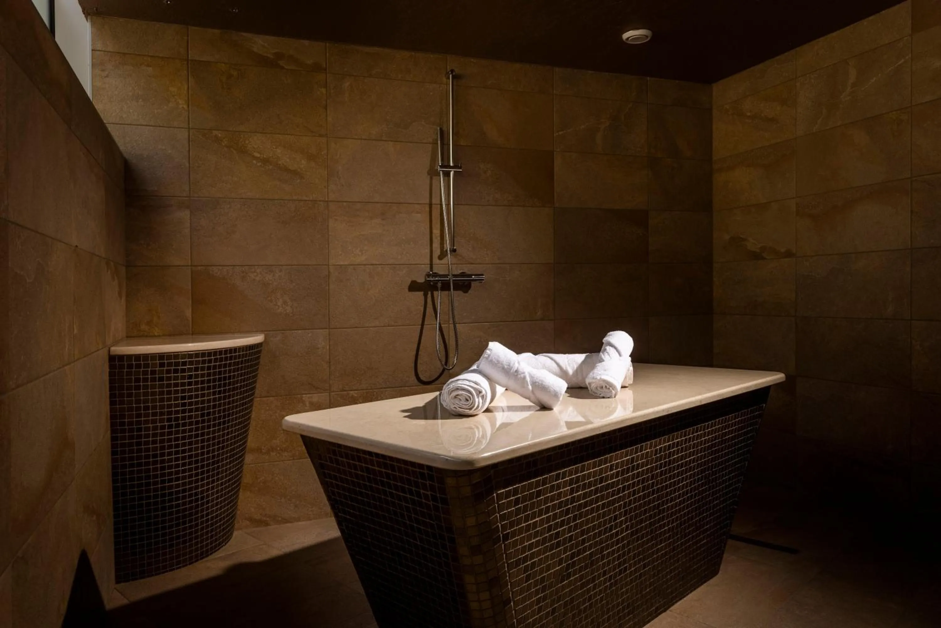 Spa and wellness centre/facilities in Hotel Histrion