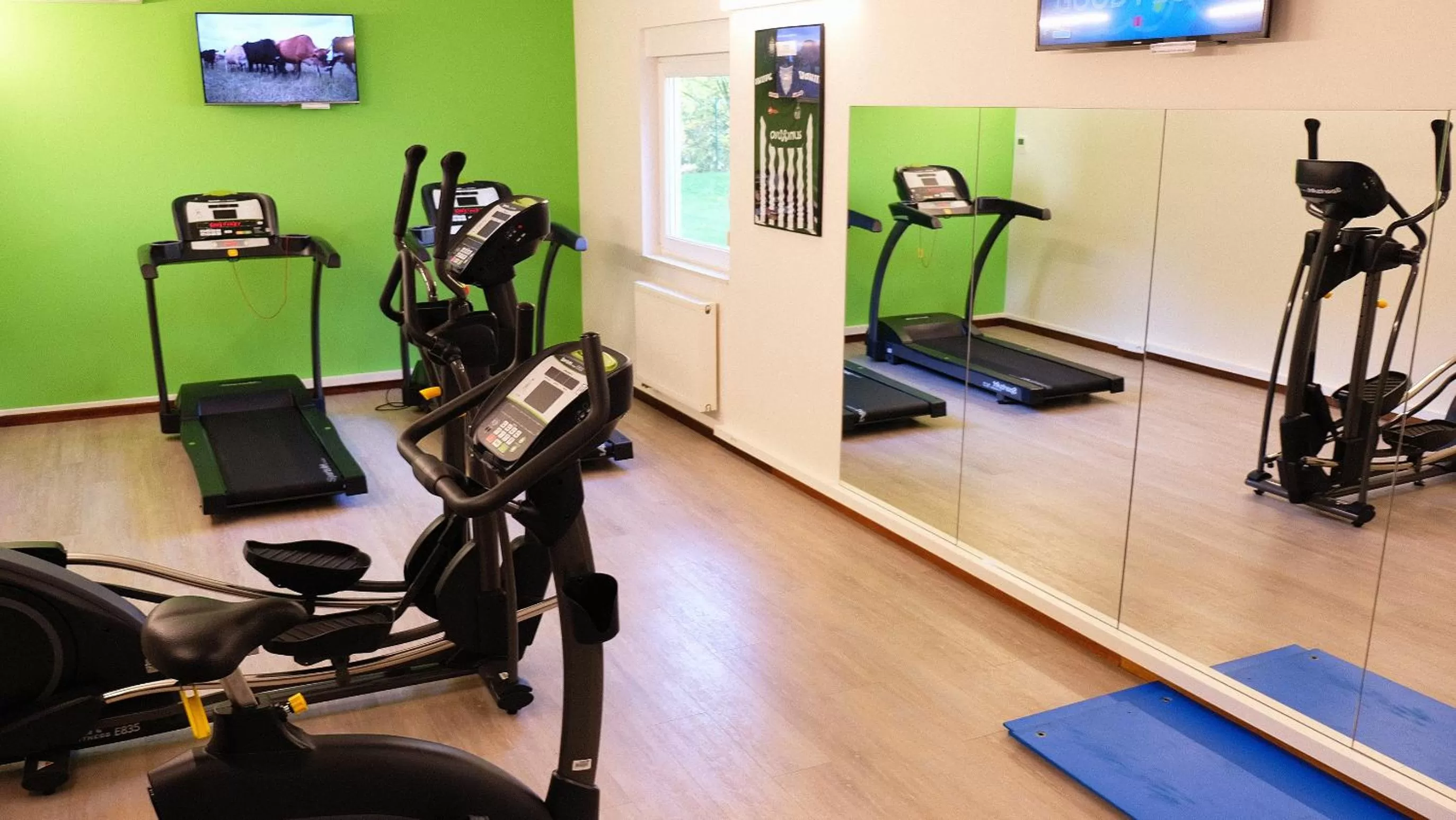 Fitness centre/facilities in Ibis Styles Charleroi Airport Aero 44