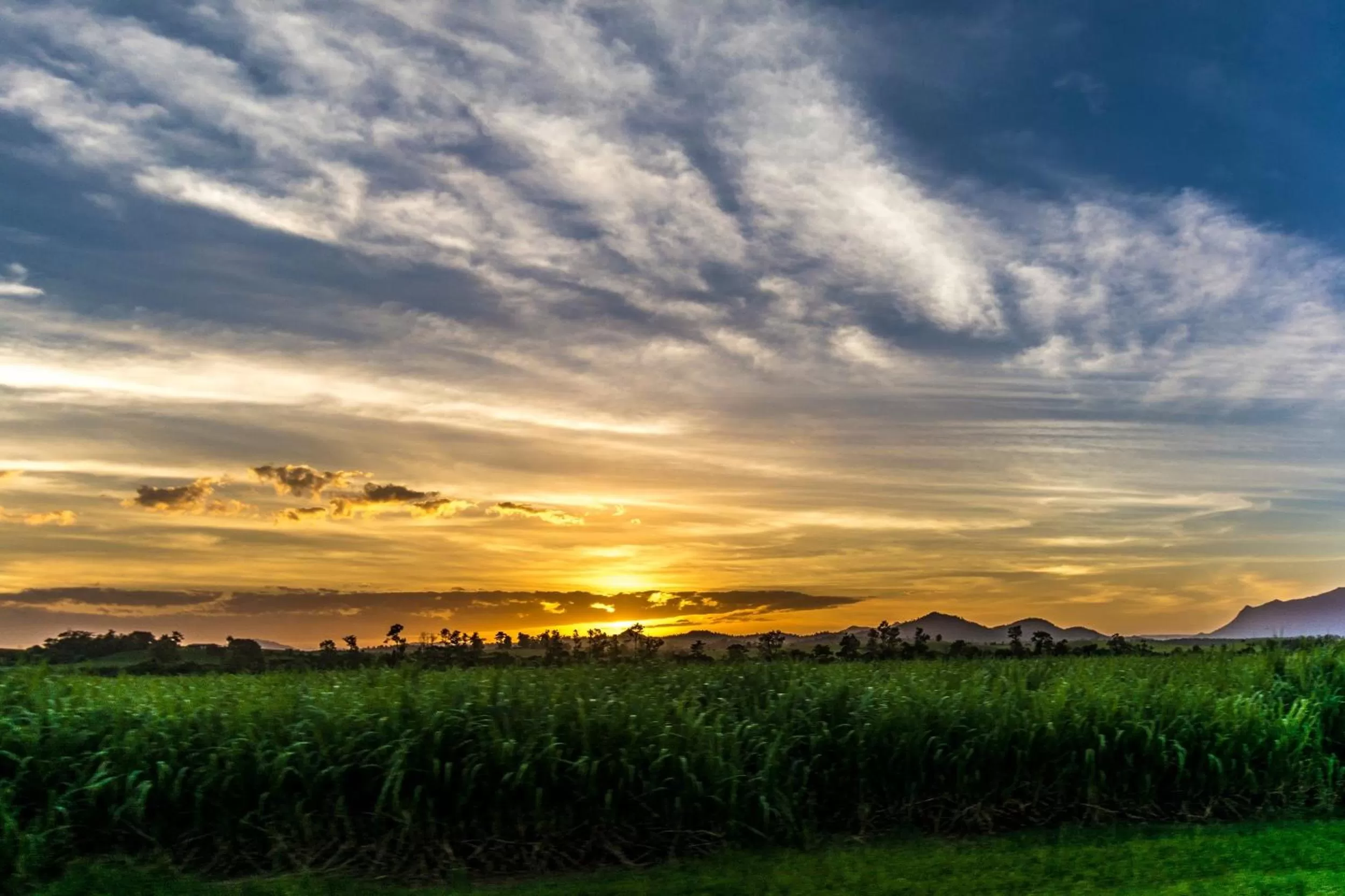 Natural landscape in TiTree Village Holiday Apartments