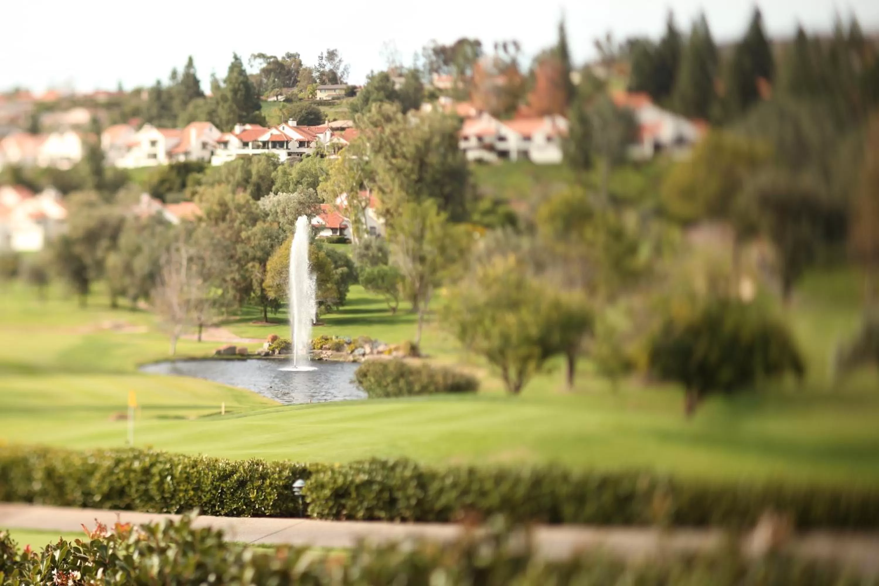 Day in Rancho Bernardo Inn