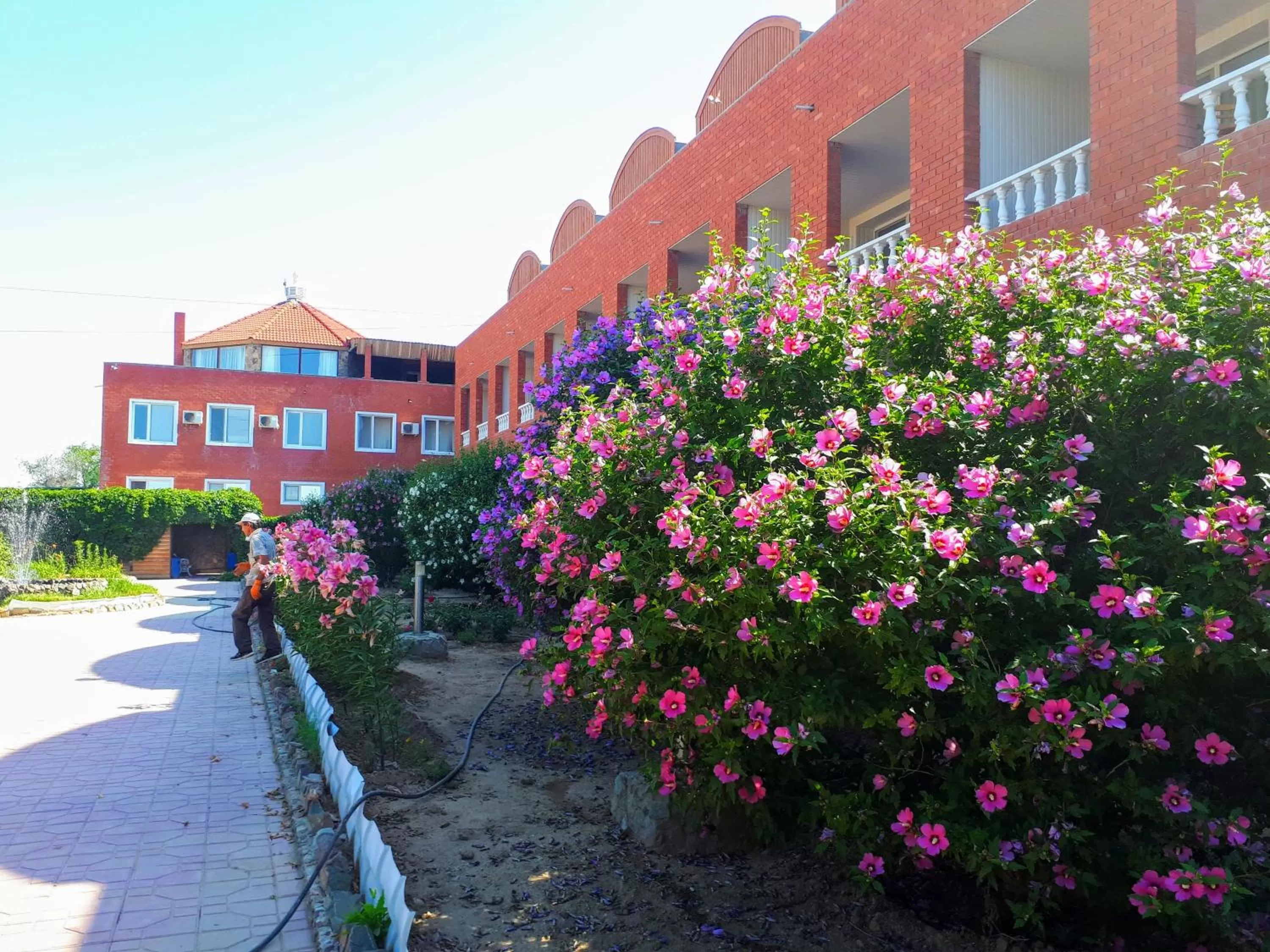 Garden, Property Building in Rahat Hotel