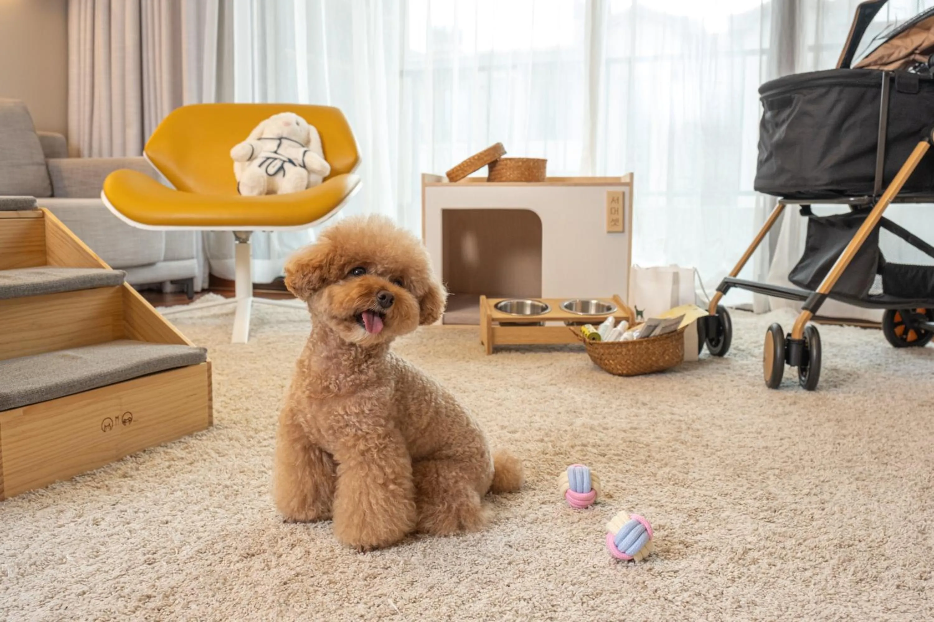 Pets in Somerset Jeju Shinhwa World