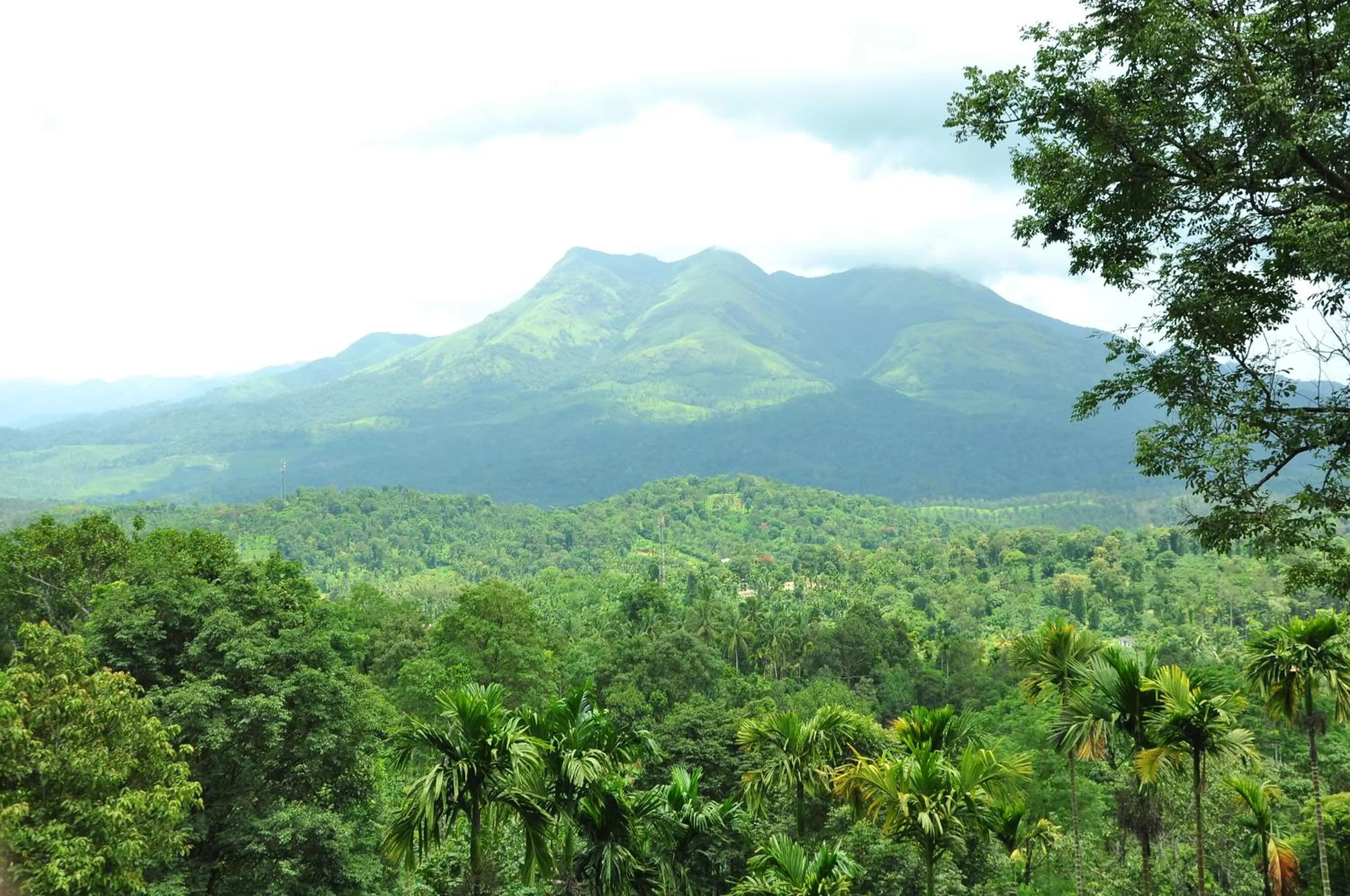 Mountain View in Woodrose Resort