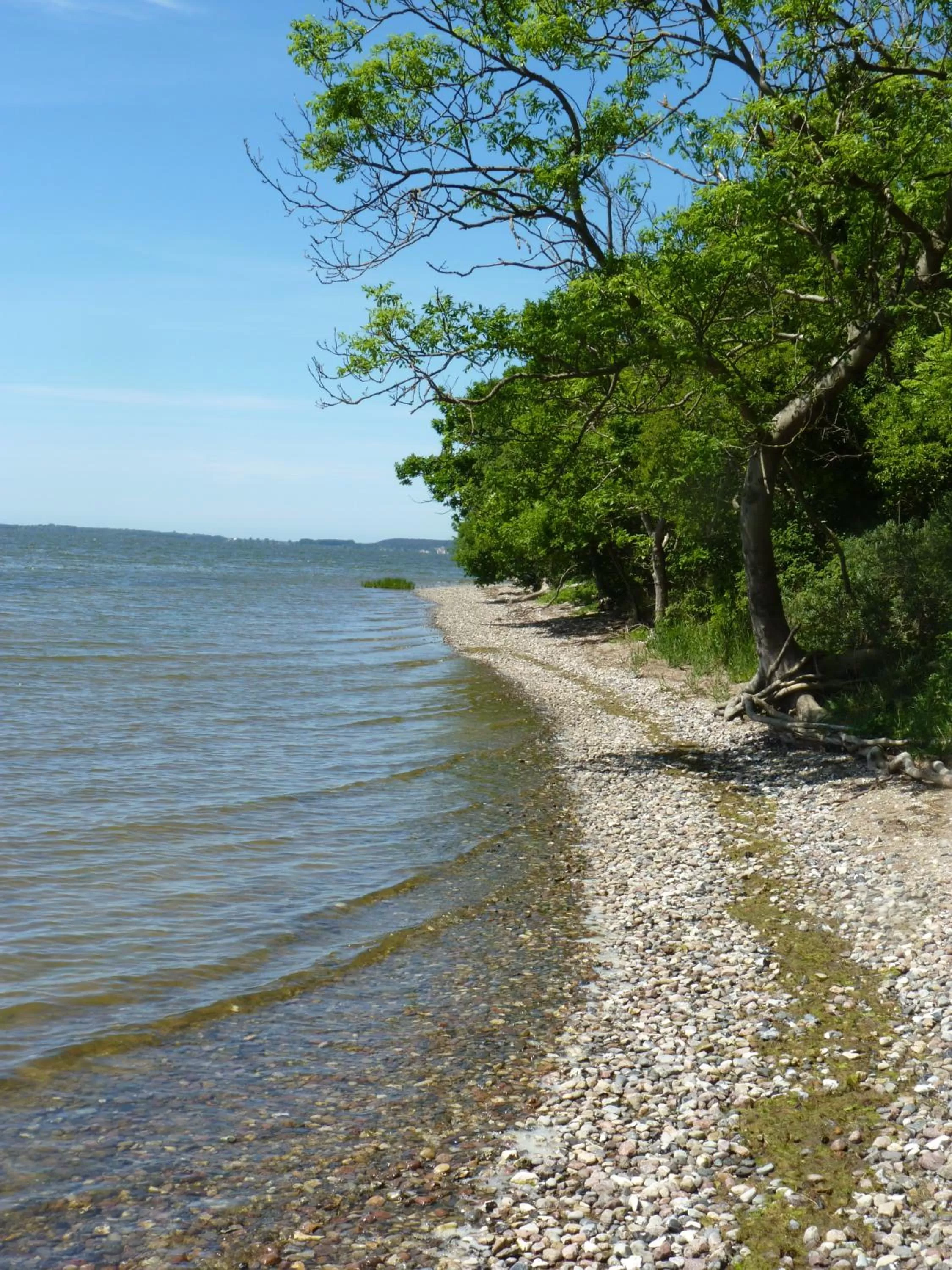 Natural landscape, Beach in Hotel Am Markt