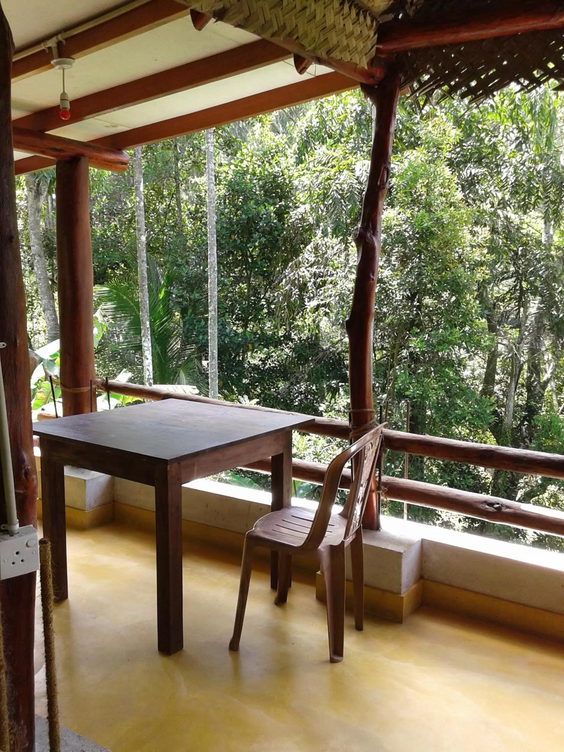 Day in The Blue View Ella