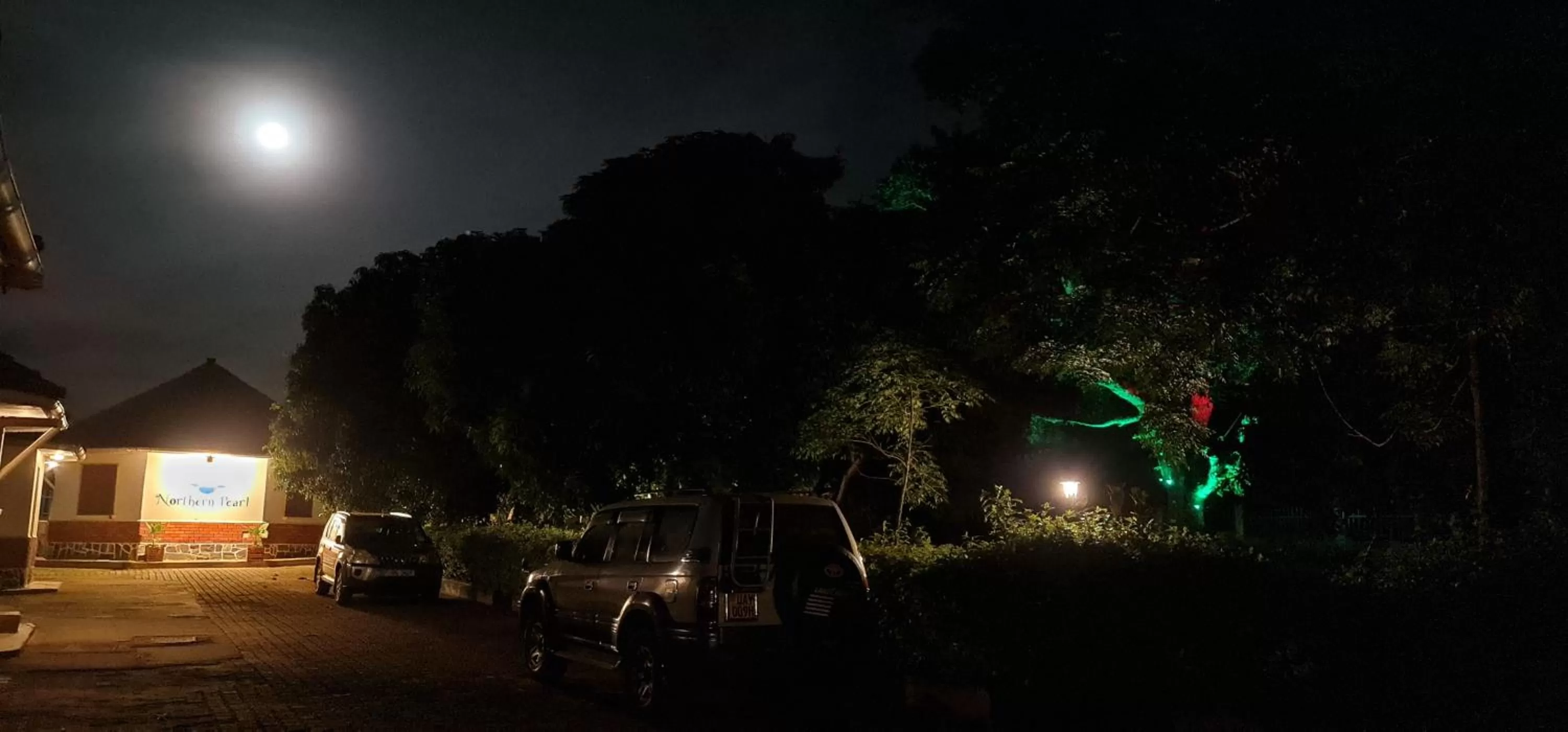 Night in Northern Pearl