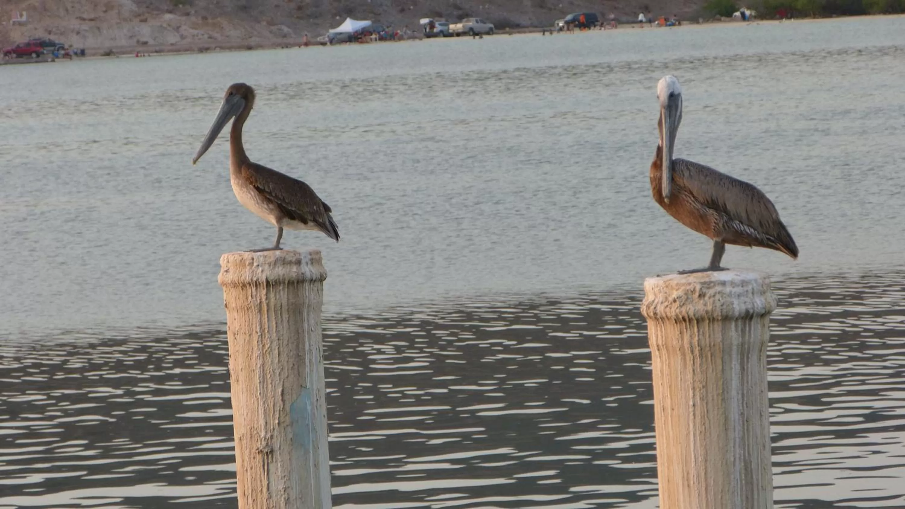 Decorative detail in Club Cantamar Beach Hotel & Marina