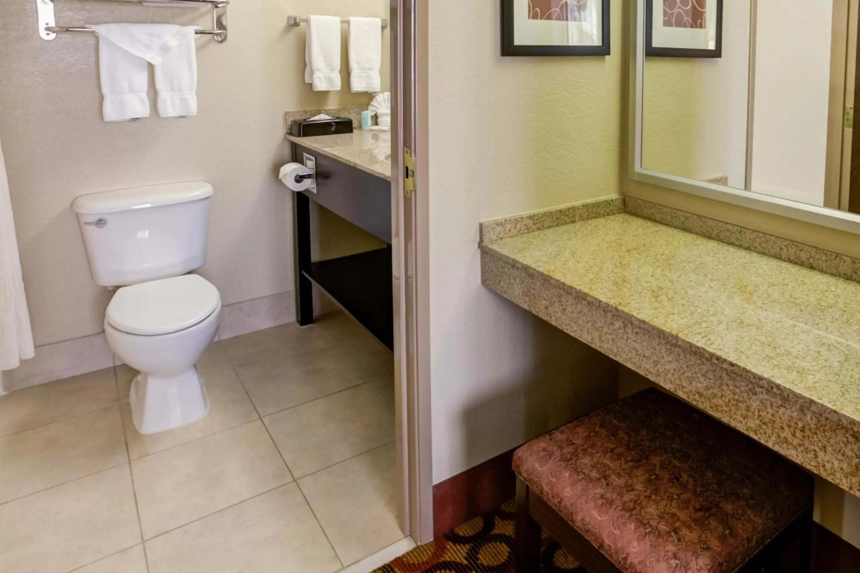 Toilet in Charlotte Suites by IHG