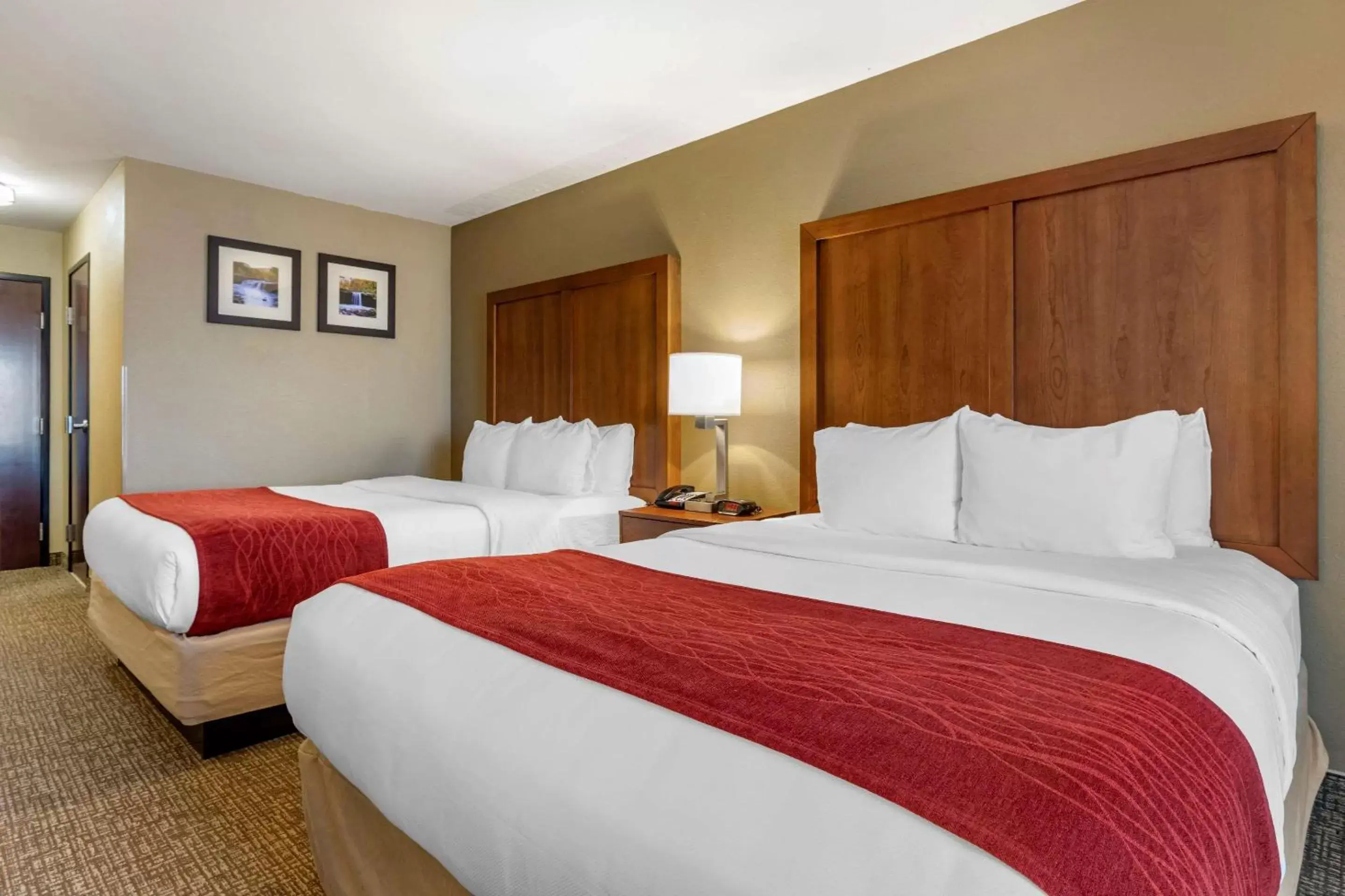 Queen Room with Two Queen Beds - Accessible/Non-Smoking in Comfort Inn & Suites Russellville I-40 Queen Room with Two Queen Beds - Accessible/Non-Smoking in Comfort Inn & Suites Russellville I-40