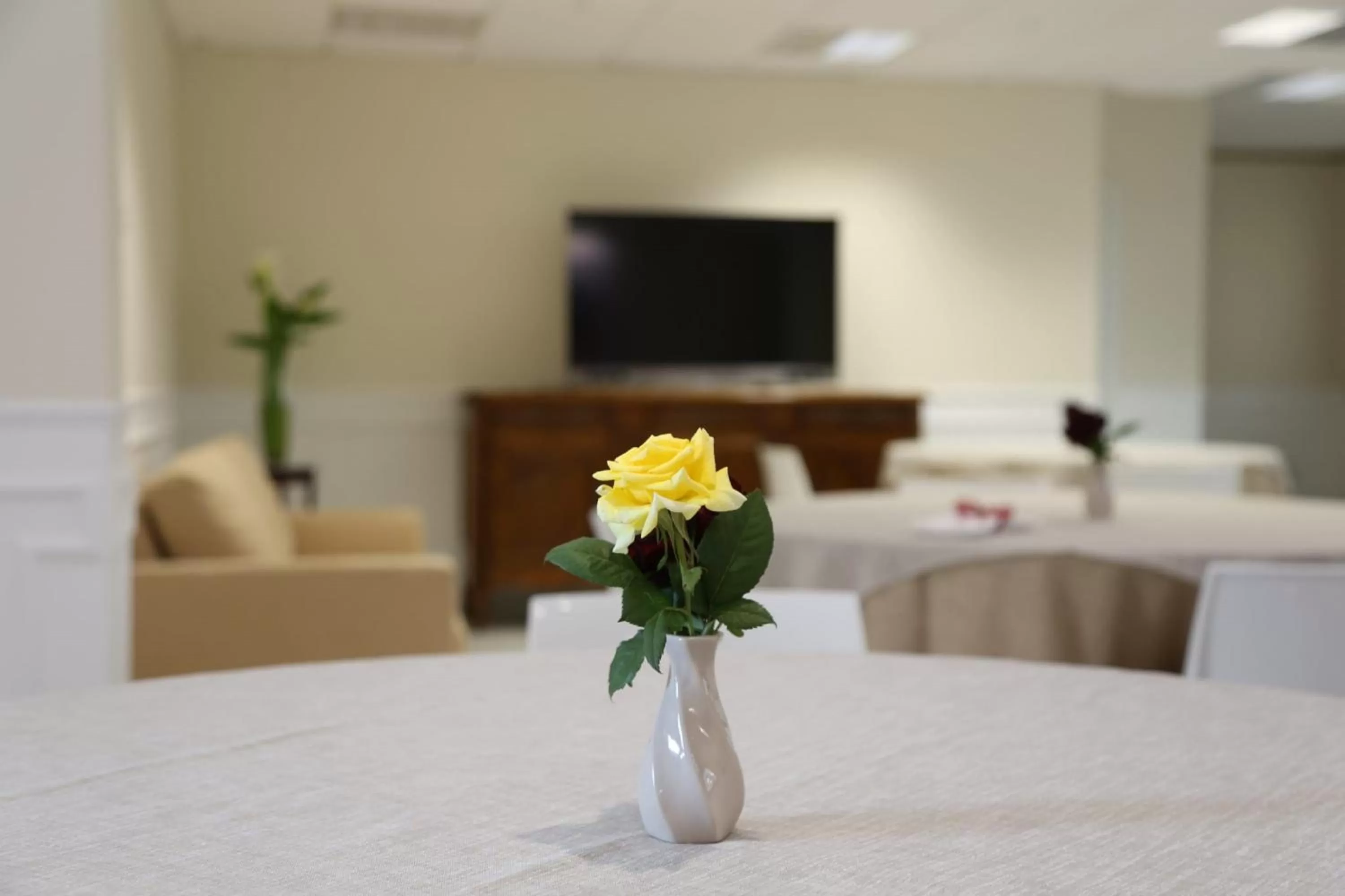 Decorative detail in Domus Salentina