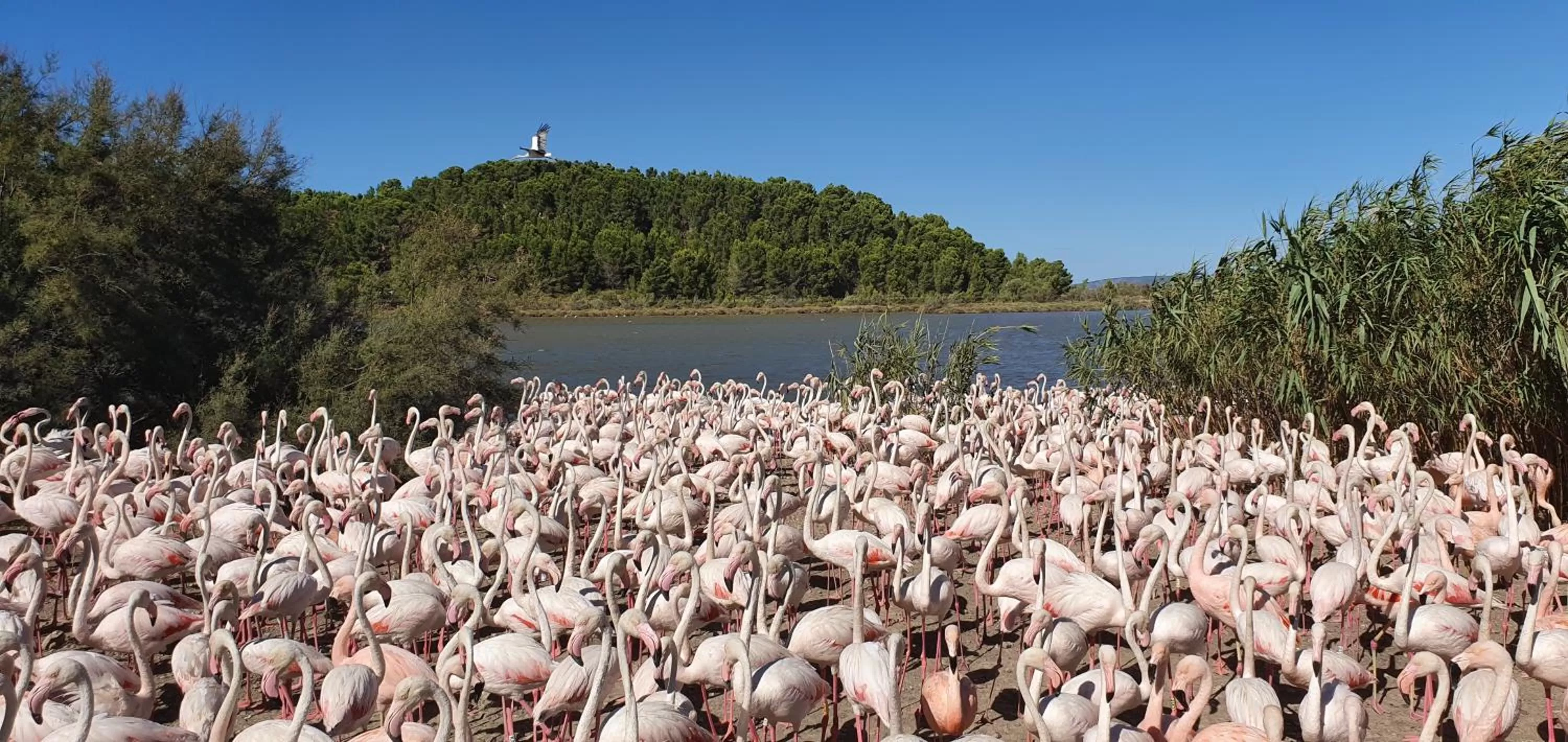 Natural landscape in Hôtel L'Alsace