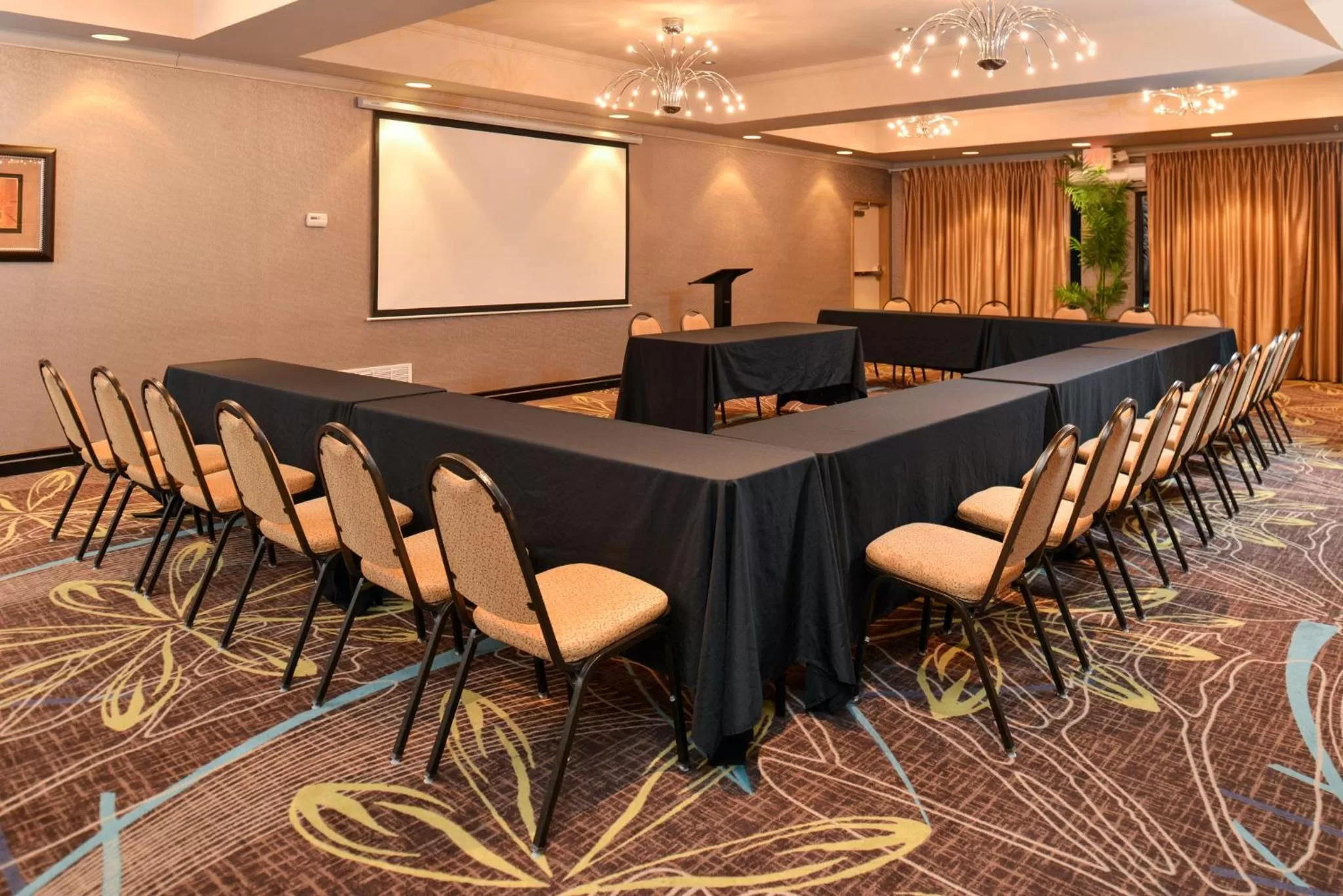 Meeting/conference room in Holiday Inn Express Hotel & Suites Dallas South - DeSoto by IHG