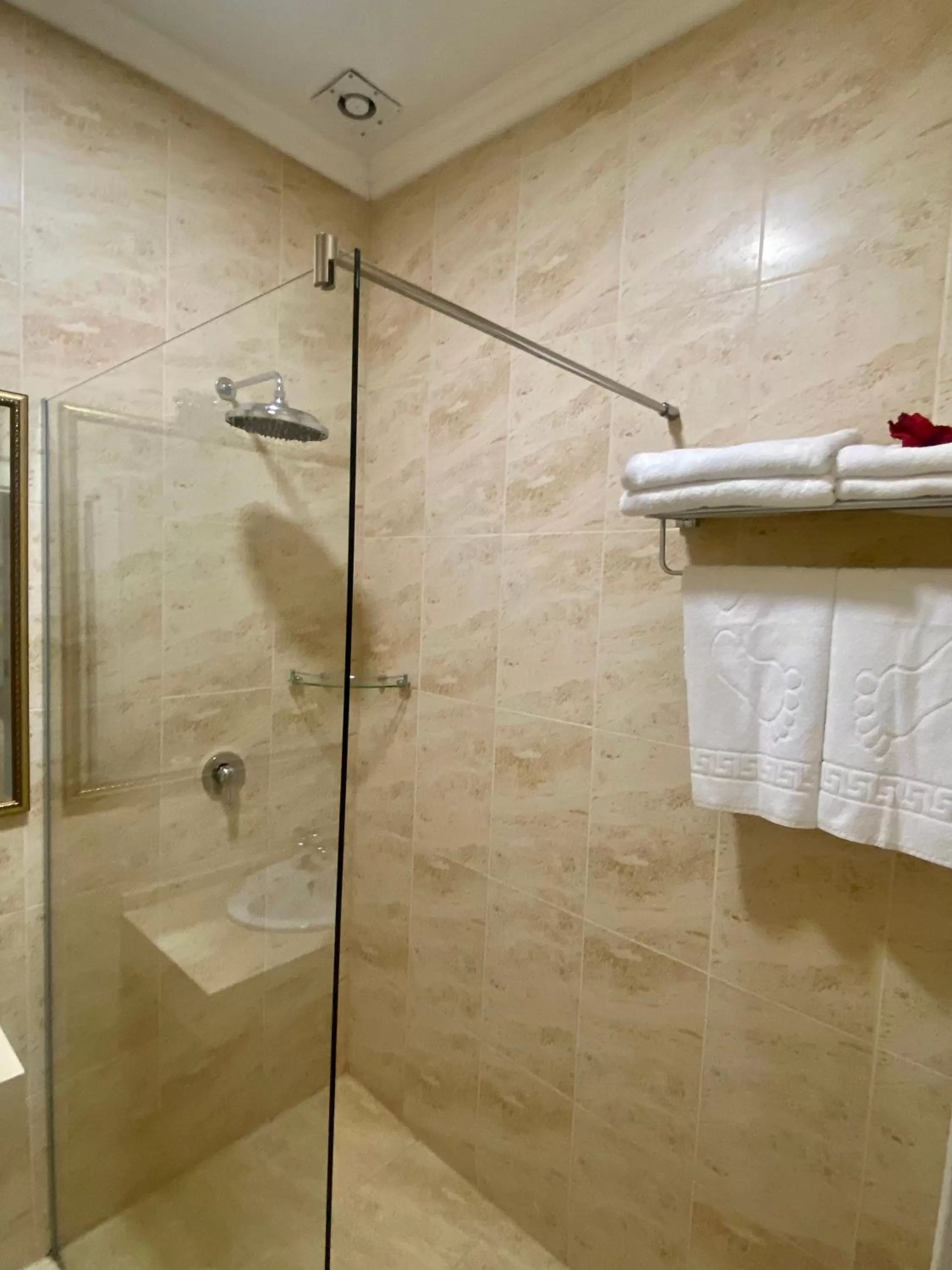 Shower, Bathroom in Boutique Hotel Deluxe