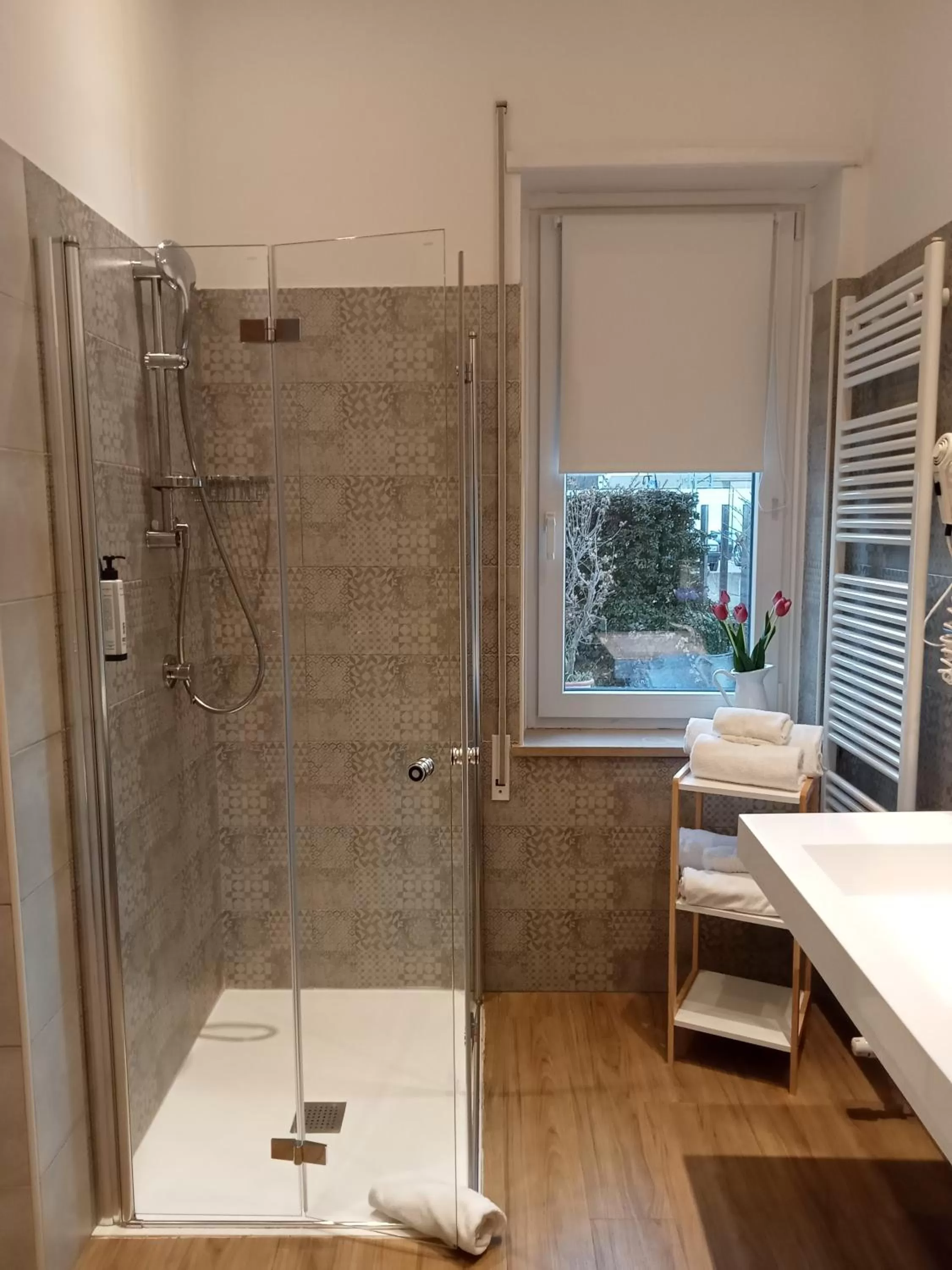 Shower in Hotel Porta Rivera