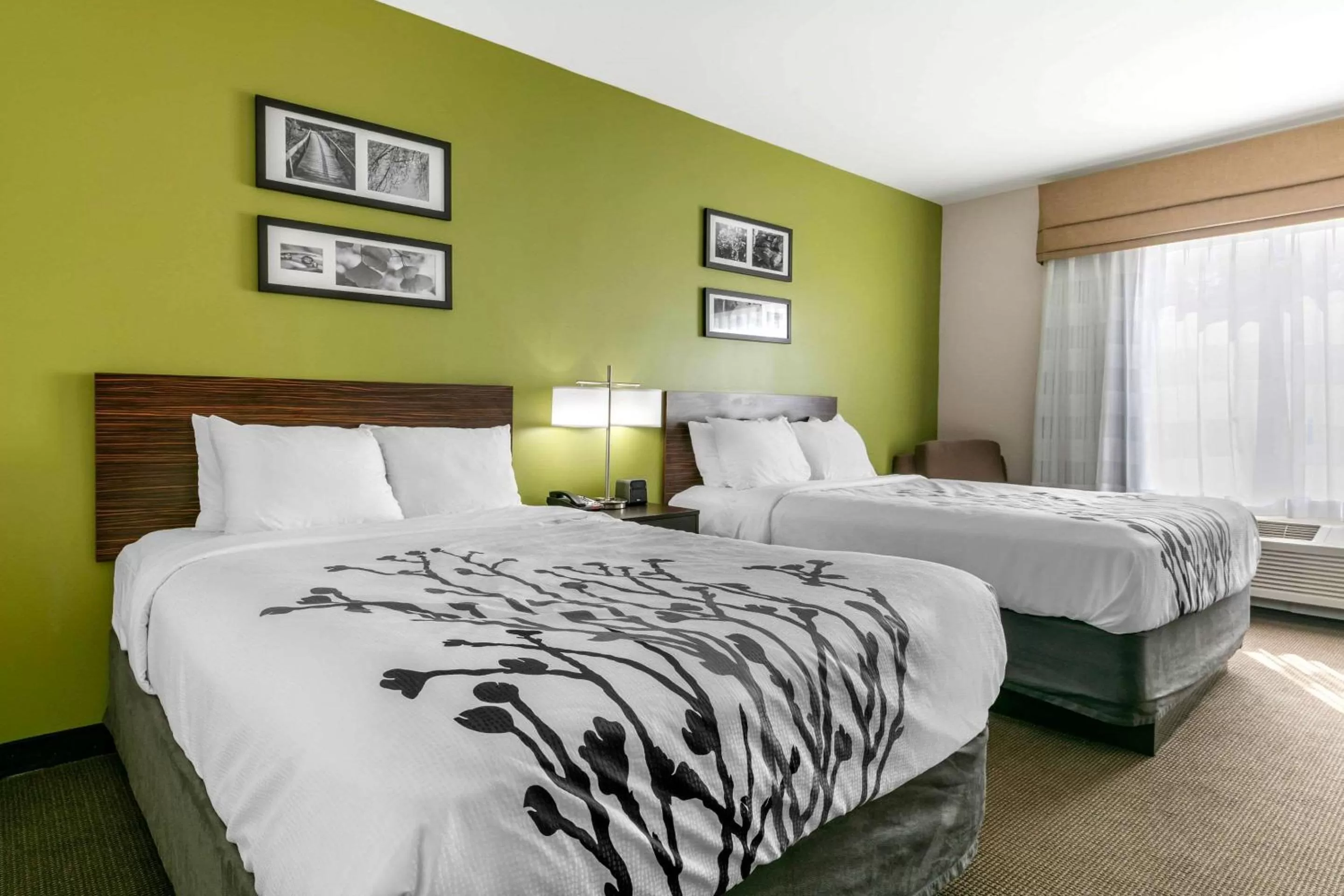 Photo of the whole room, Bed in Sleep Inn & Suites Columbia I-65