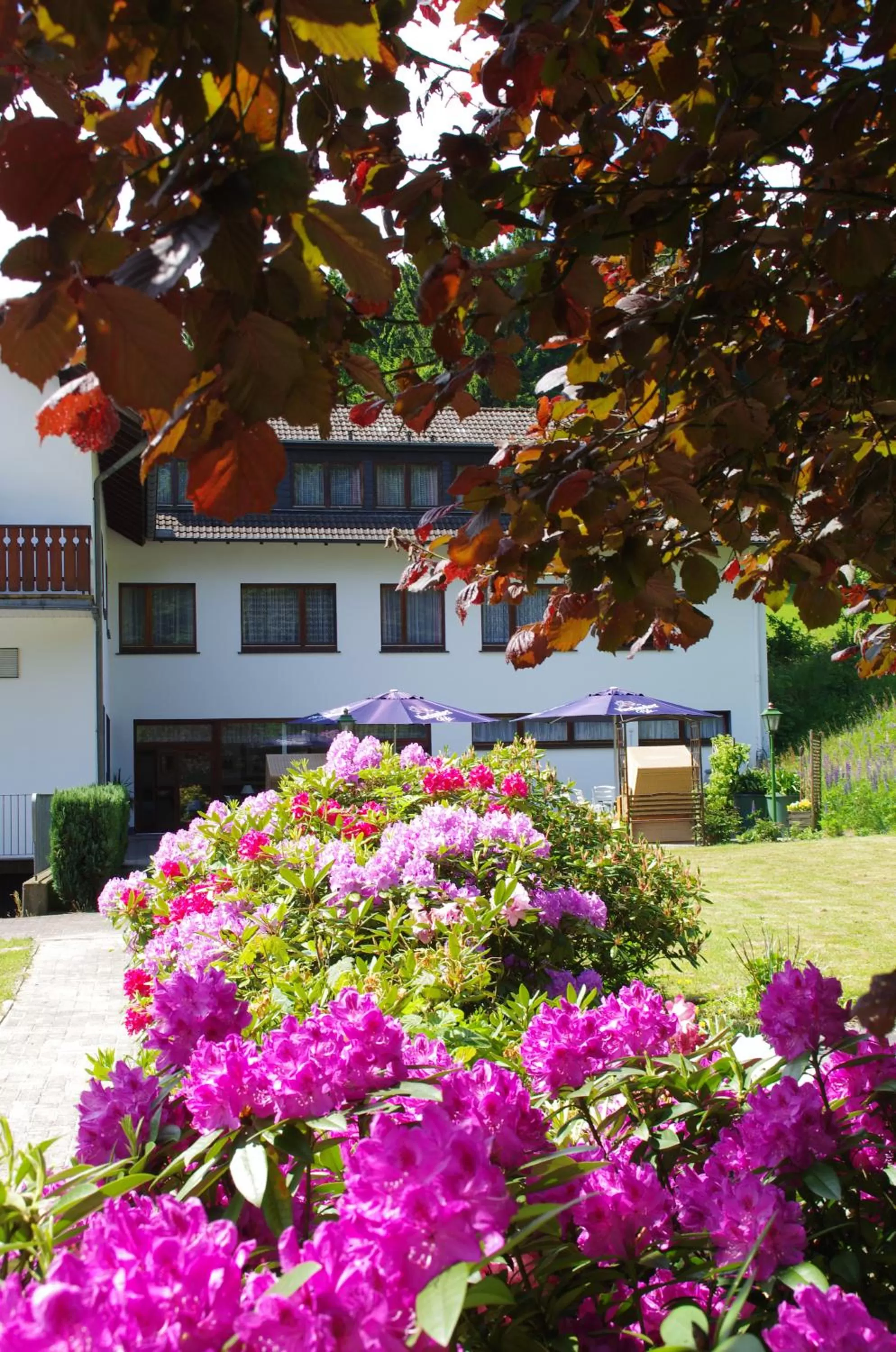 Property Building in Hotel Herrenrest