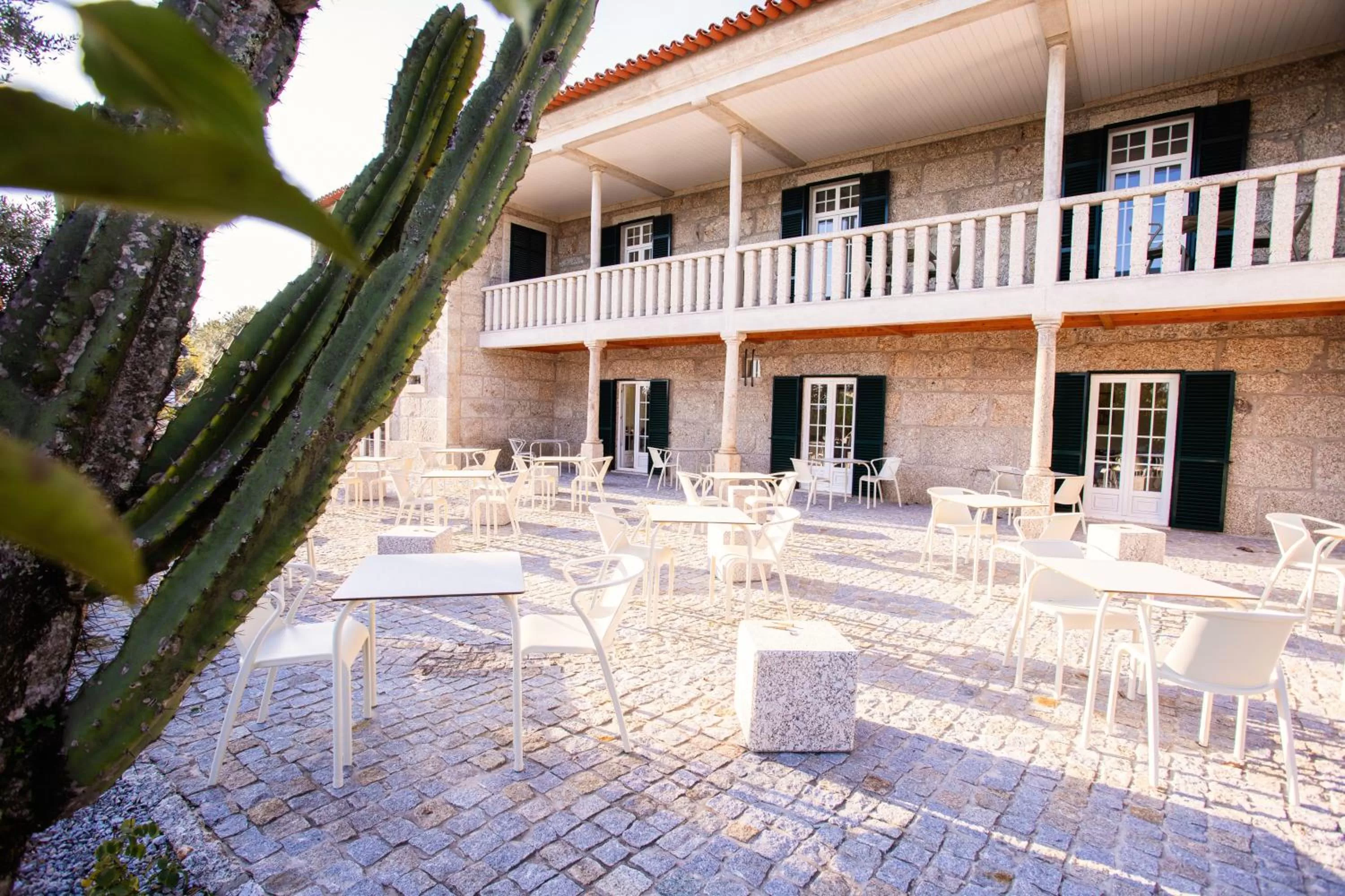 Restaurant/places to eat in Fonte Velha