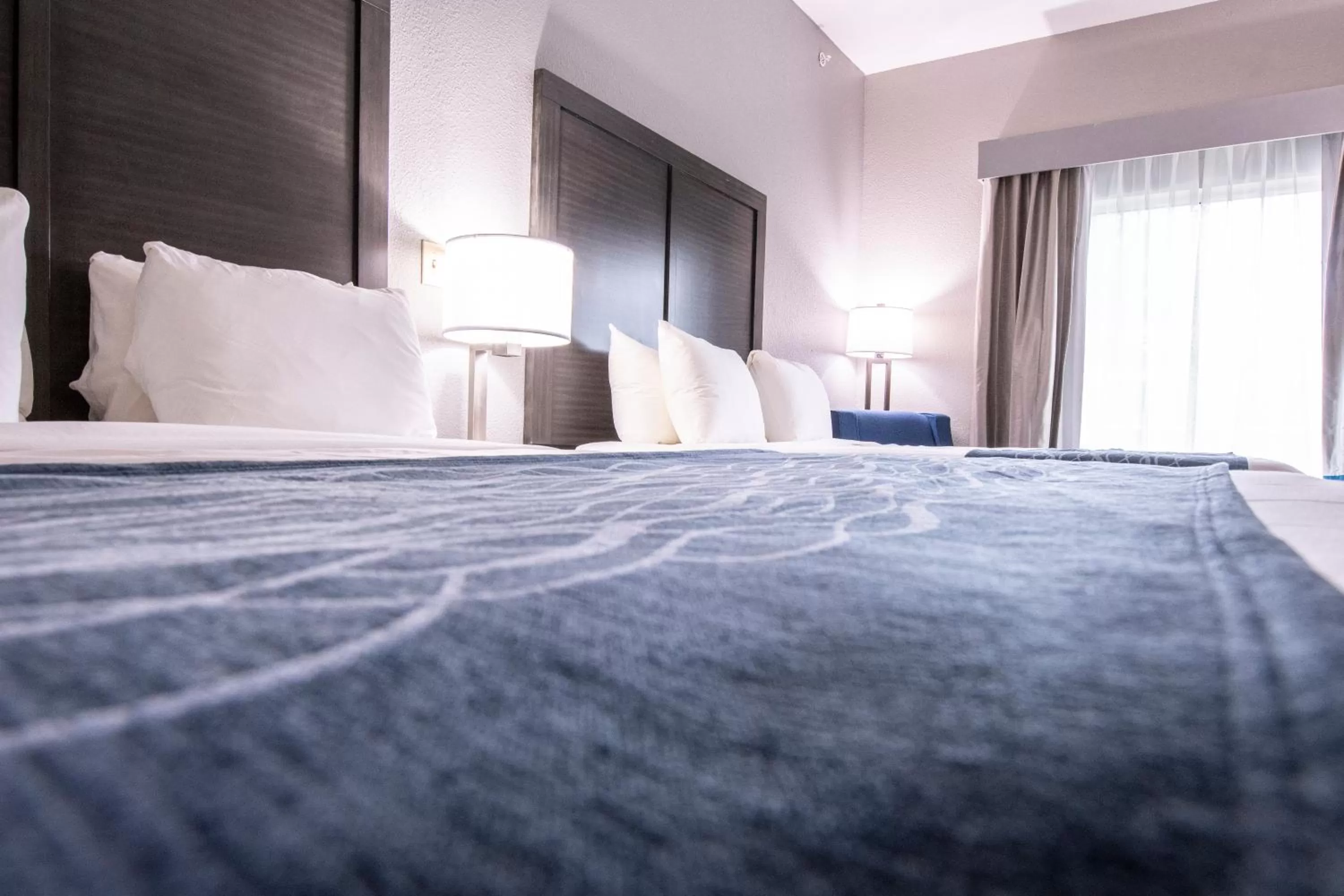 Bed in Comfort Inn & Suites Near Medical Center