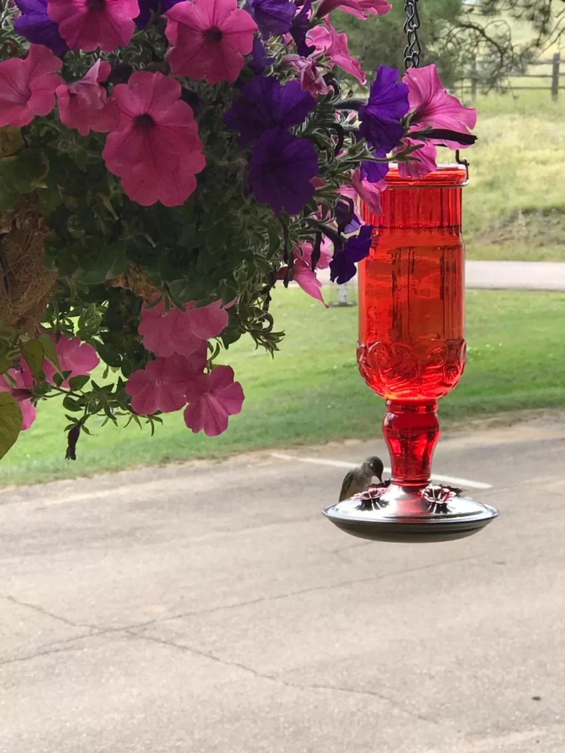 Garden in Cripple Creek Hospitality House