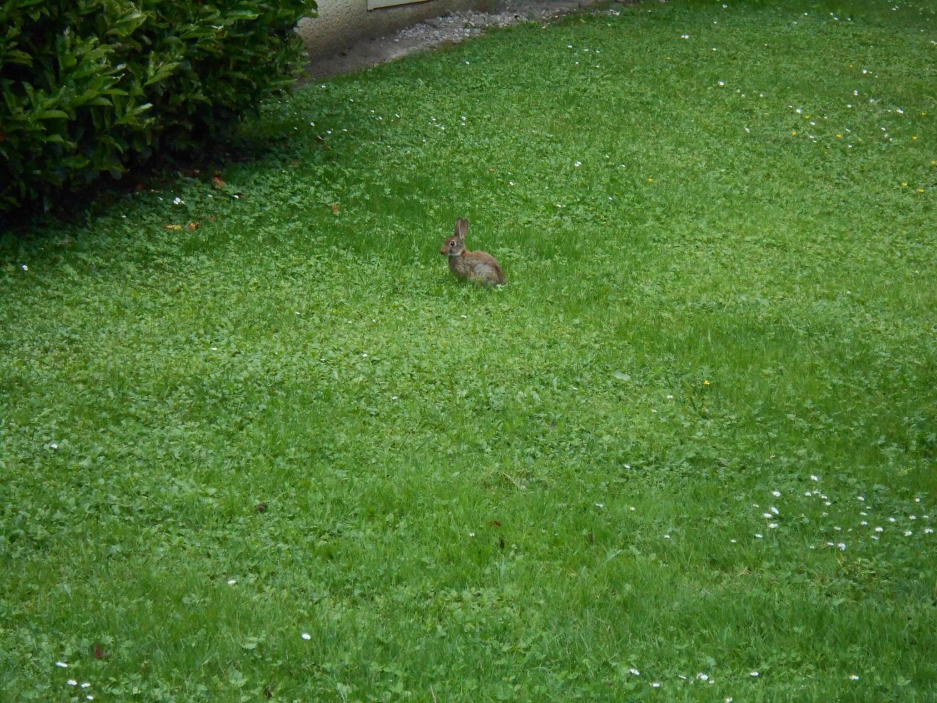Garden in Premiere Classe Grenoble Sud - Gieres Universite