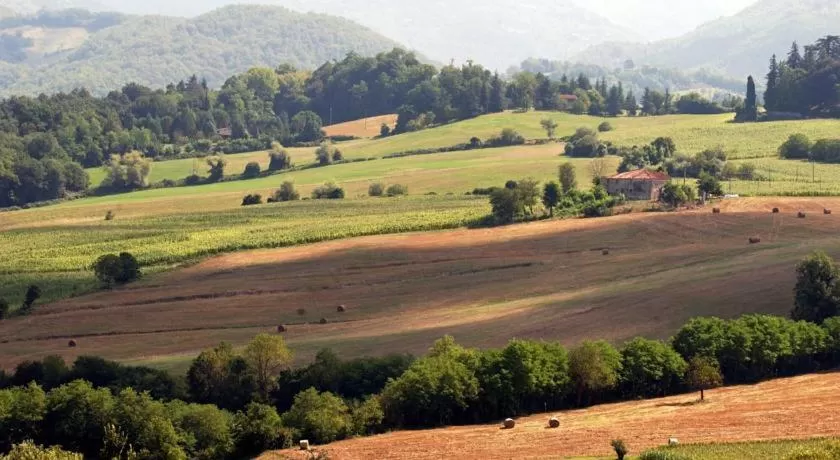 Garden view in Residenza di Campagna Montelleri