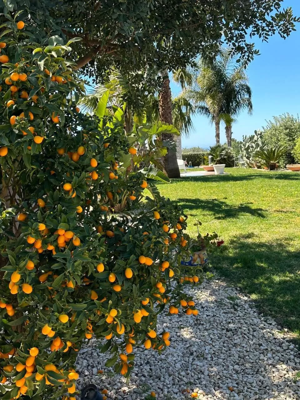 Natural landscape, Garden in La Valle Dei Tempi