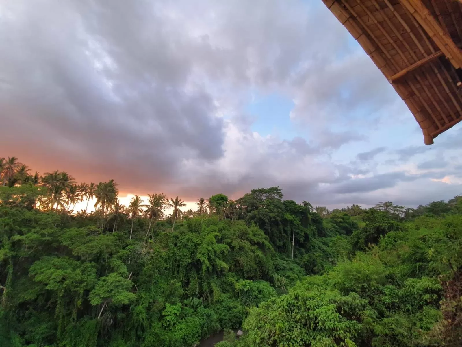Natural landscape in Kadewa Retreat Ubud - Adults Only