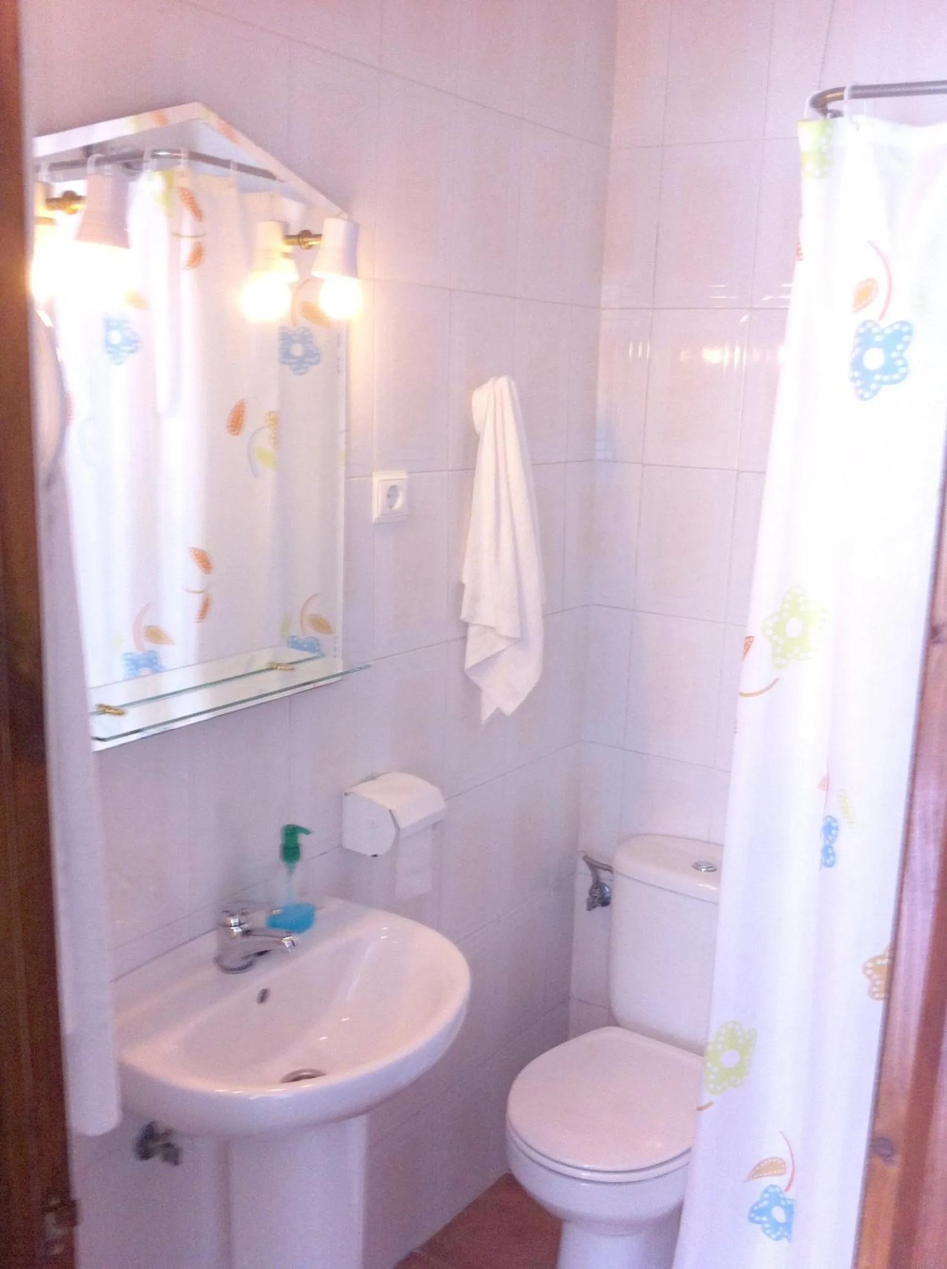 Bathroom in Giraldilla