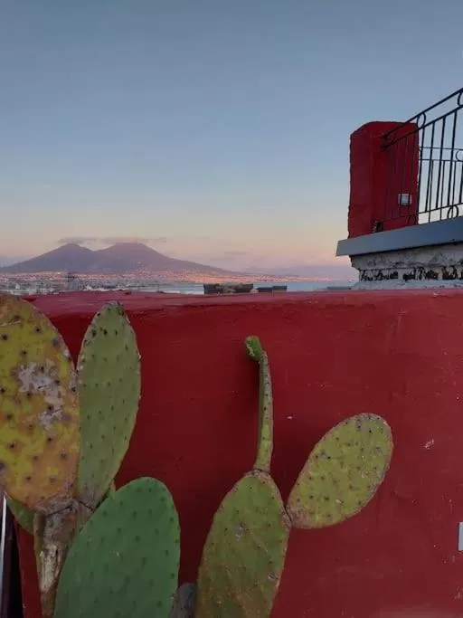 Sea view in B&B Toledo Panoramic Rooftop with terrace