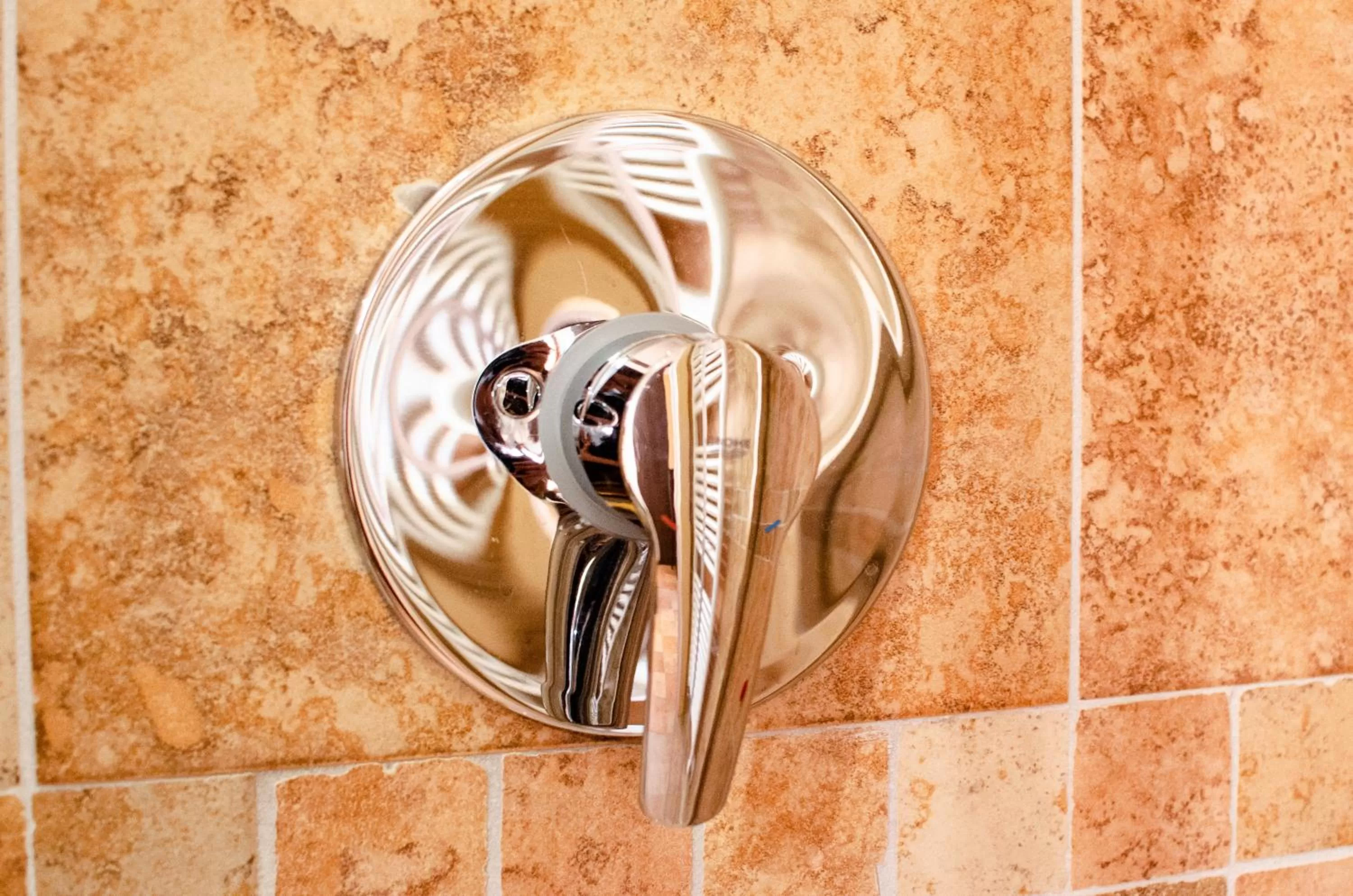 Al Fogolâr Rooms & Osteria with Saunaland