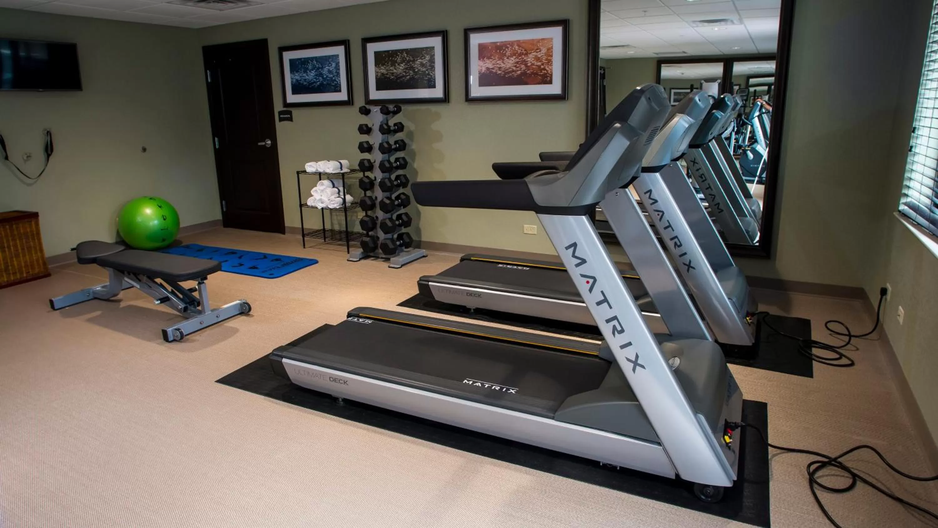 Fitness centre/facilities in Staybridge Suites Lexington by IHG