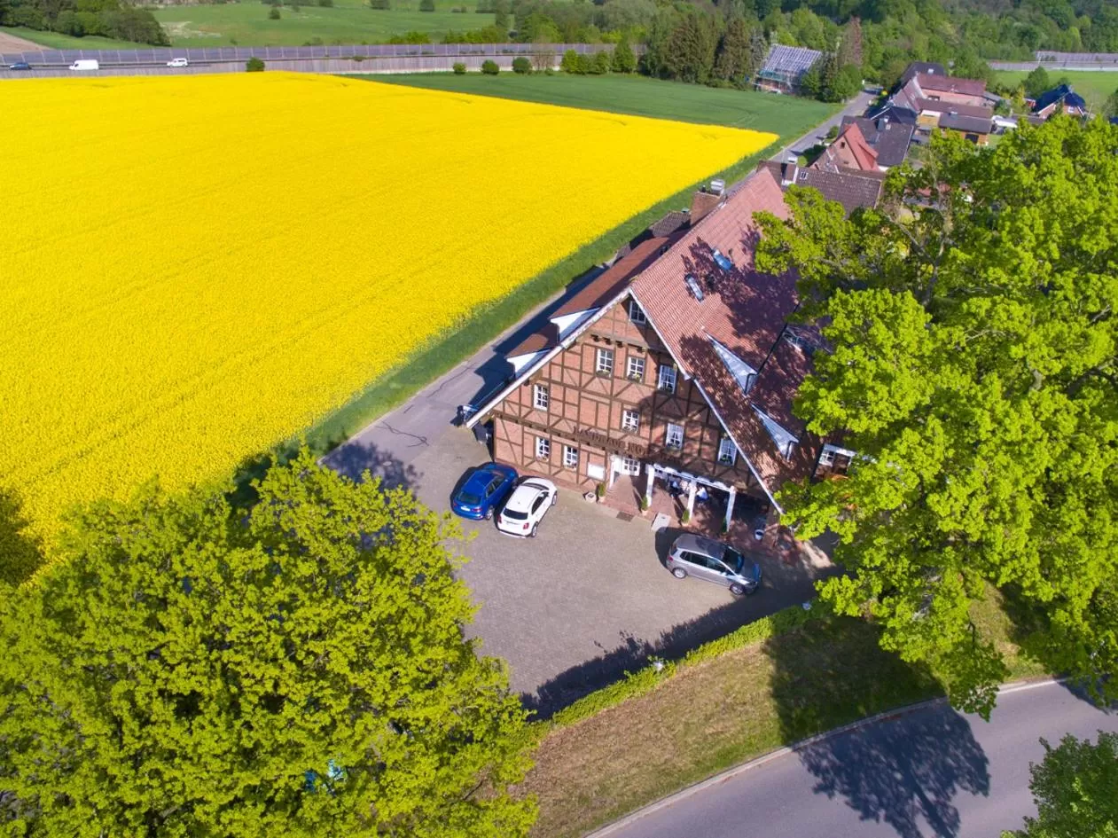 Bird's eye view, Bird's-eye View in Landhaus Nütschau