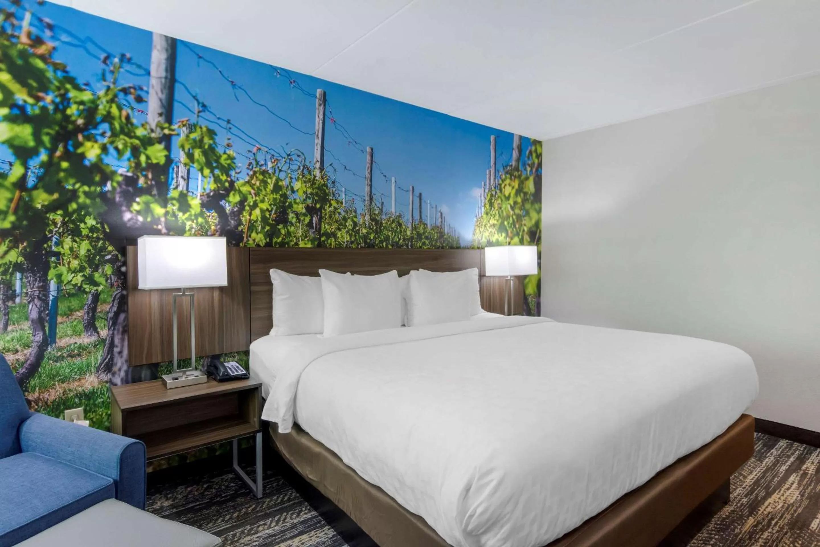 Clarion Pointe Charlottesville