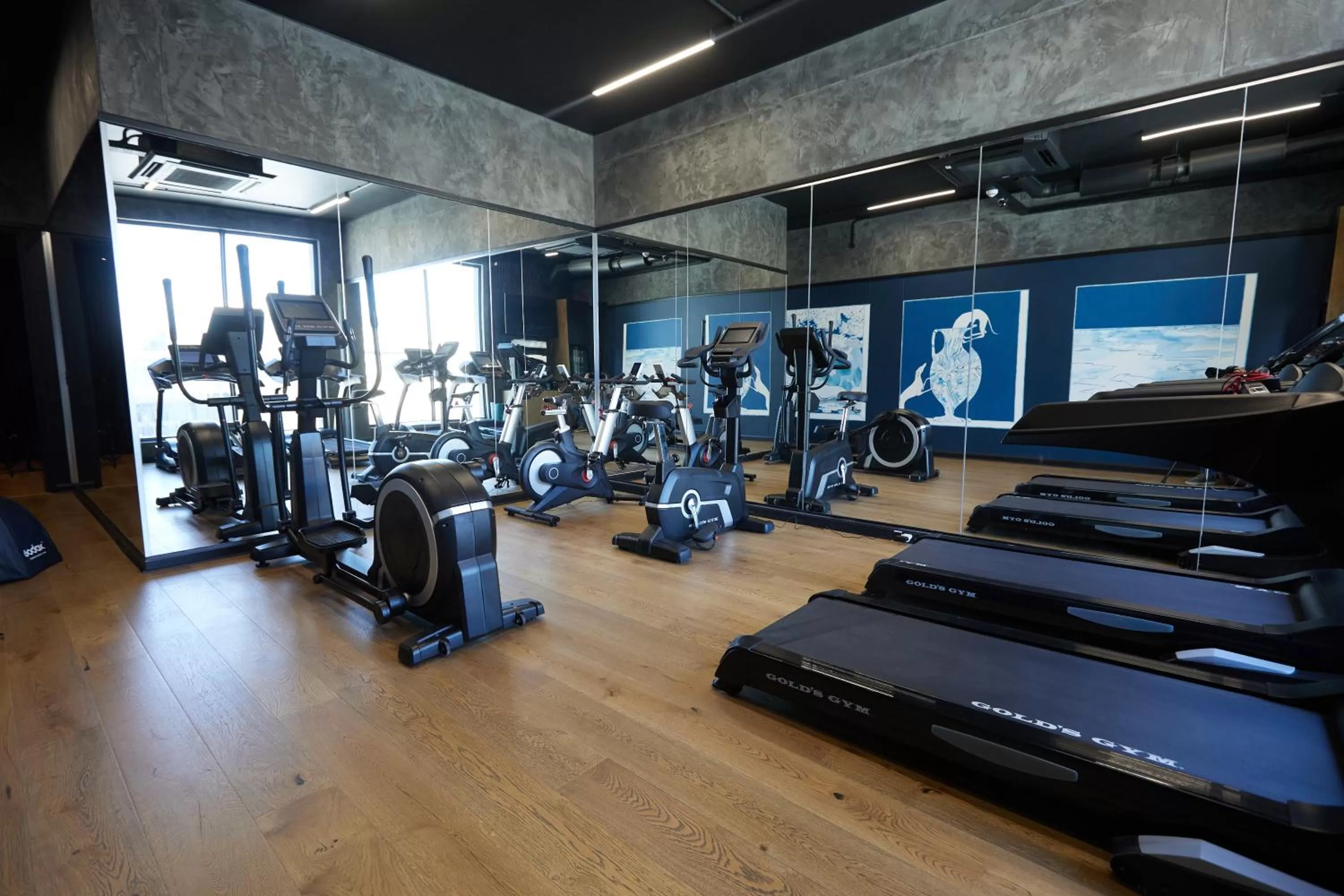 Fitness centre/facilities in HYDE JOHANNESBURG ROSEBANK