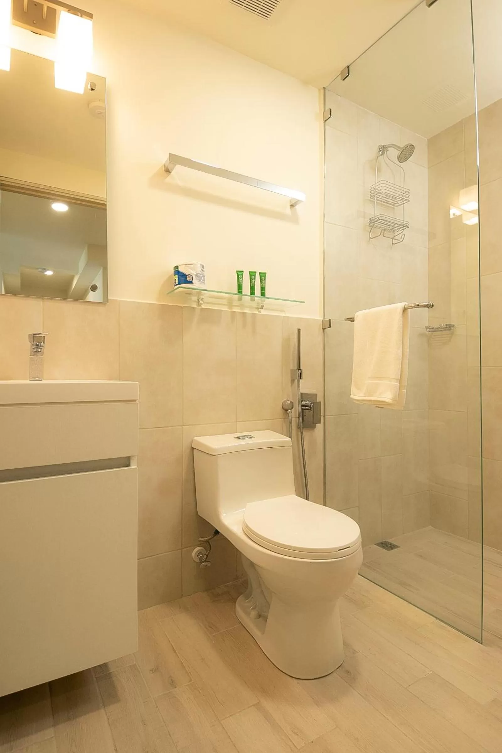 Toilet, Bathroom in Playa Caracol Residences