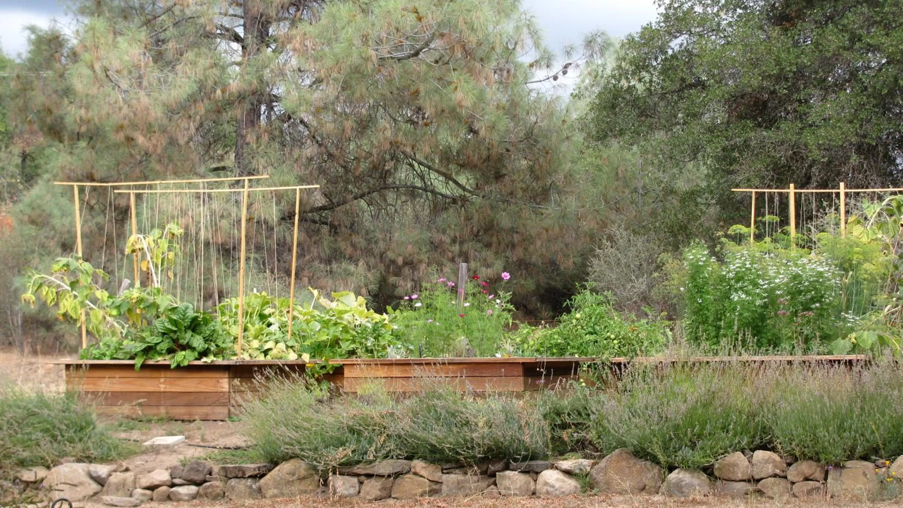 Garden in Yosemite Rose Bed and Breakfast