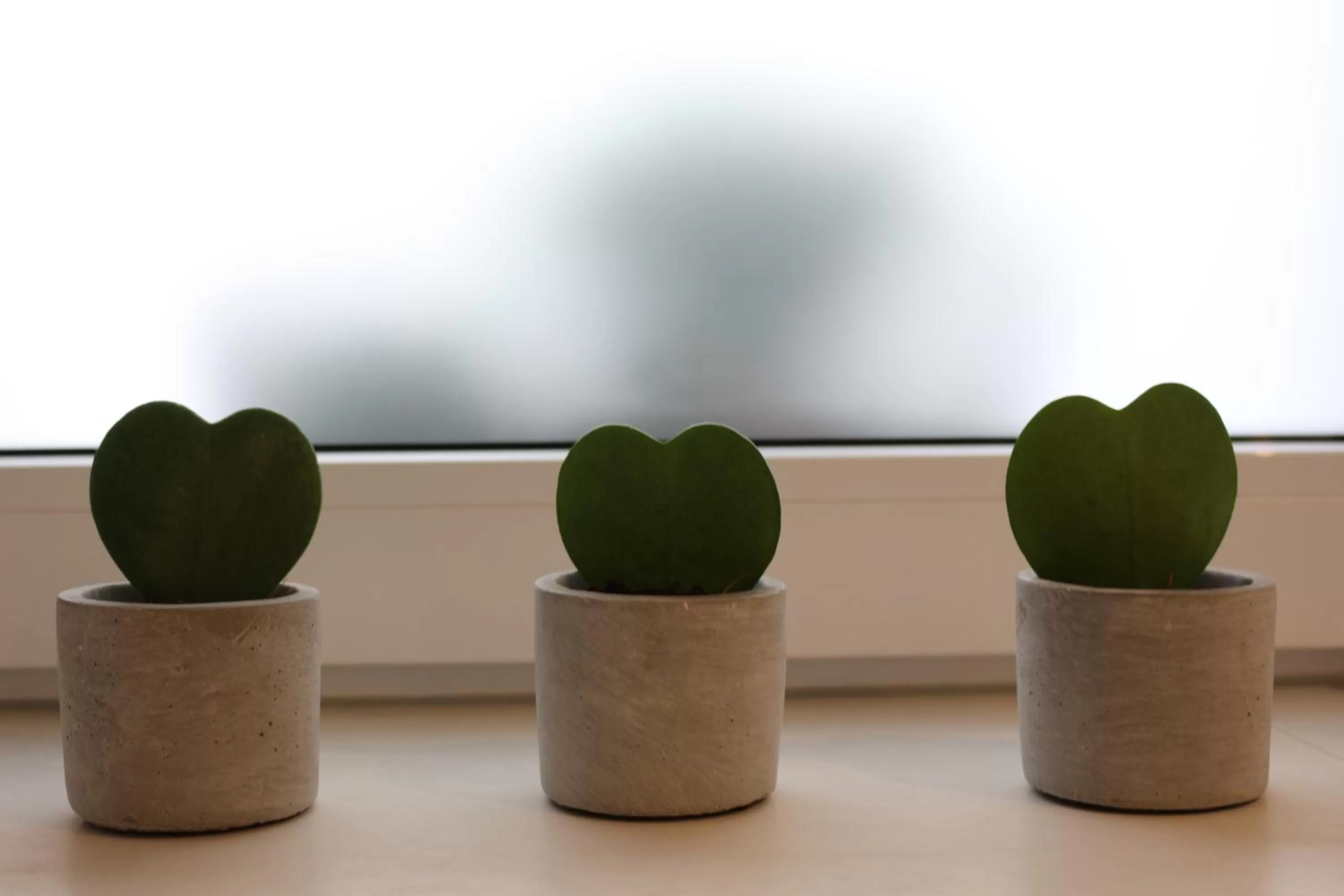 Decorative detail in Das Kornburg-Quartier