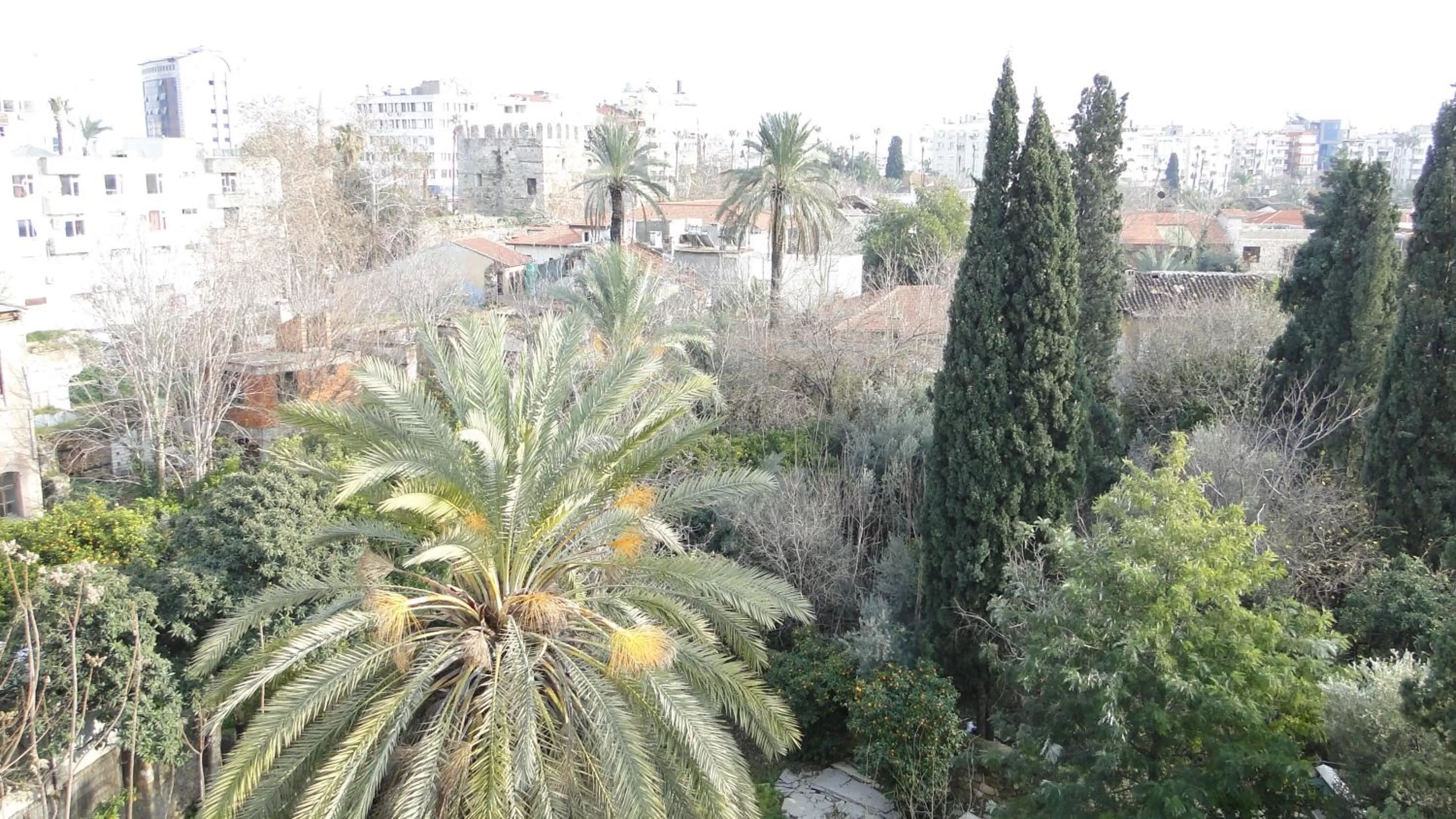 Day in Sunrise Hotel