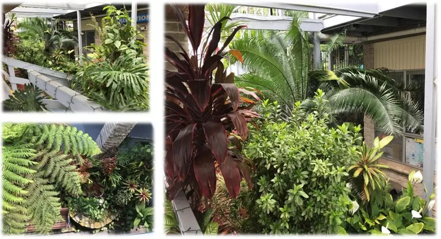 Coffs Shearwater Motel