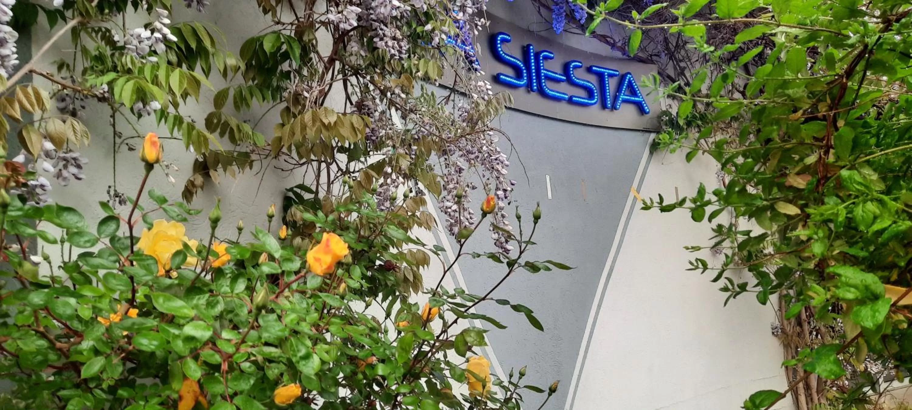 The Originals City, Hôtel La Siesta, Annonay Est