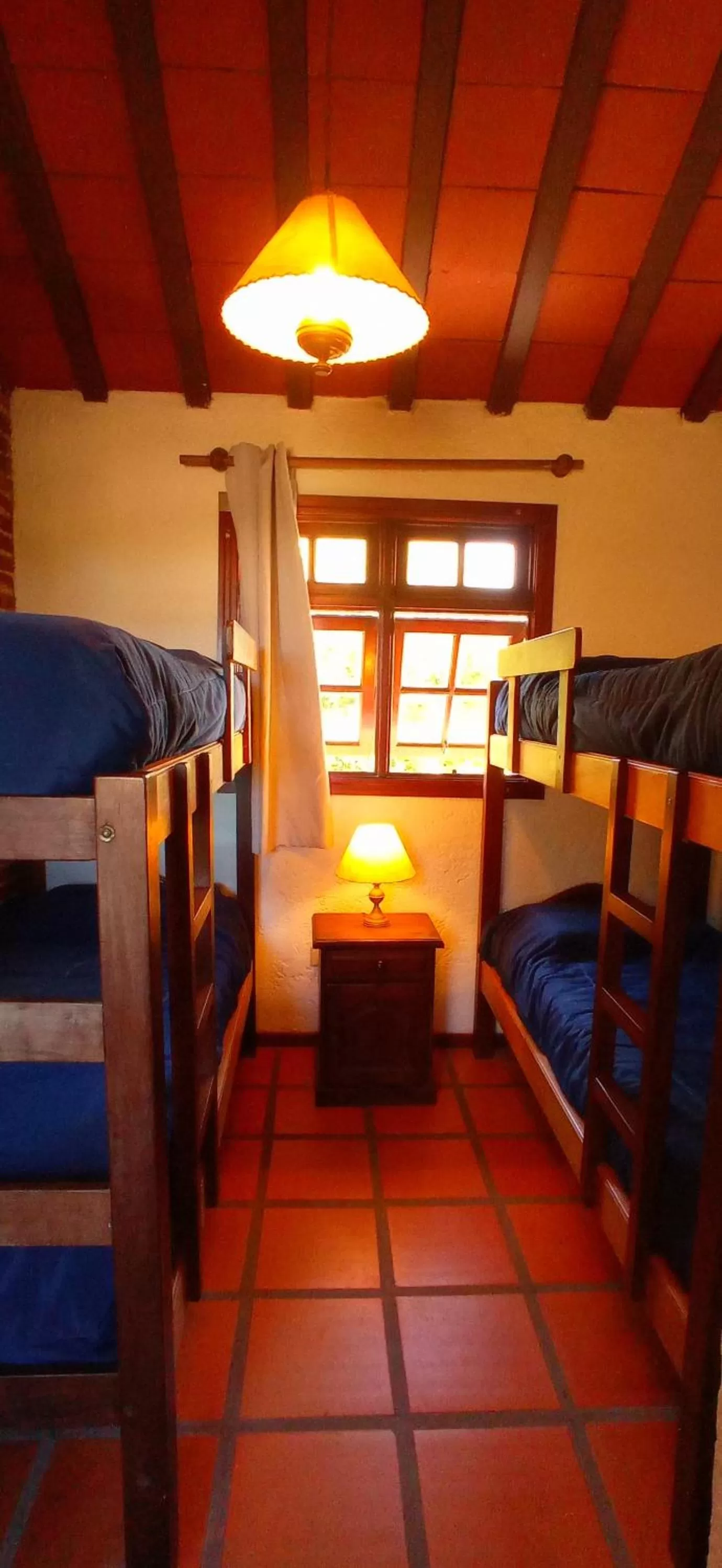 Bunk Bed in Pino Dorado