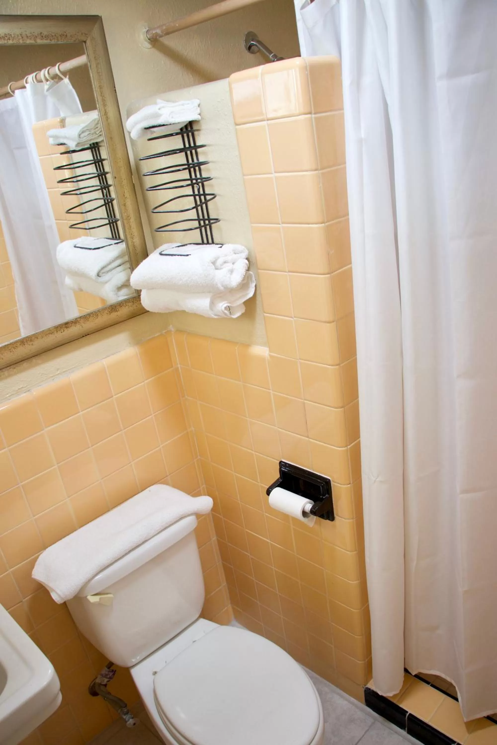 Shower in Royal Inn - North Augusta - Home Of The Masters - Augusta Downtown